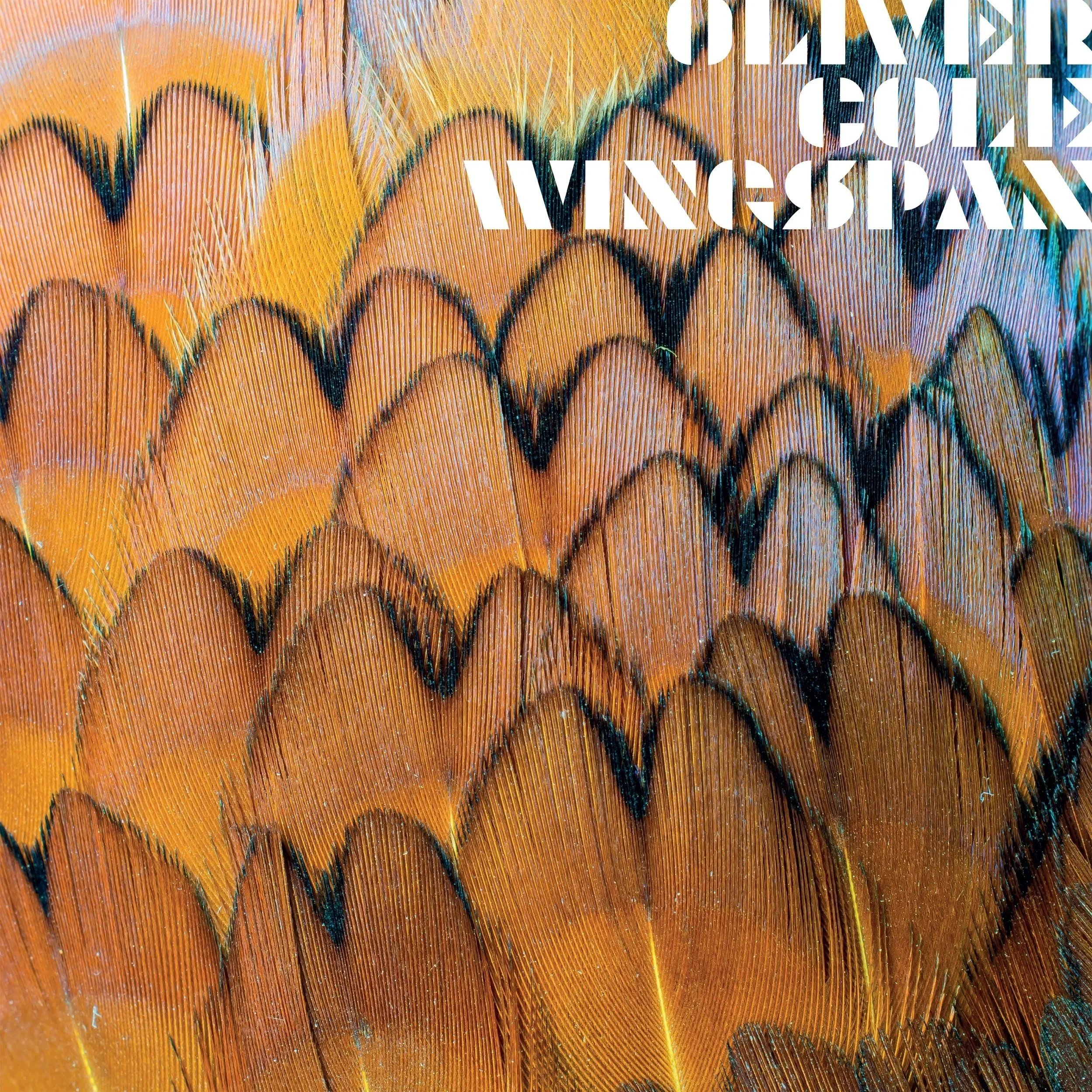 SSLP001+-+Oliver+Cole+-+Wingspan.jpg