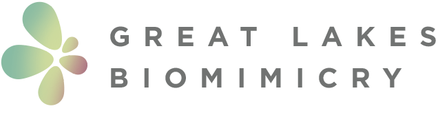 Great Lakes Biomimicry logo.png