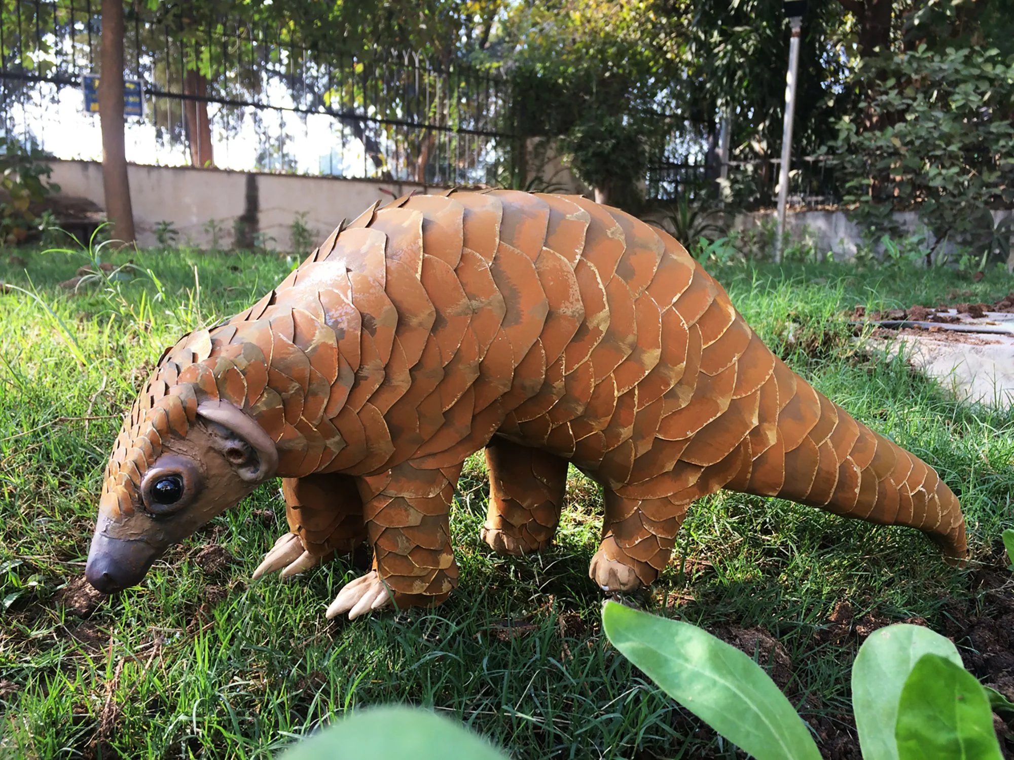 pangolin_high res .jpg