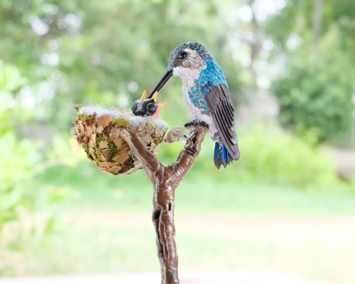 Female+bee+hummingbird+6.jpg