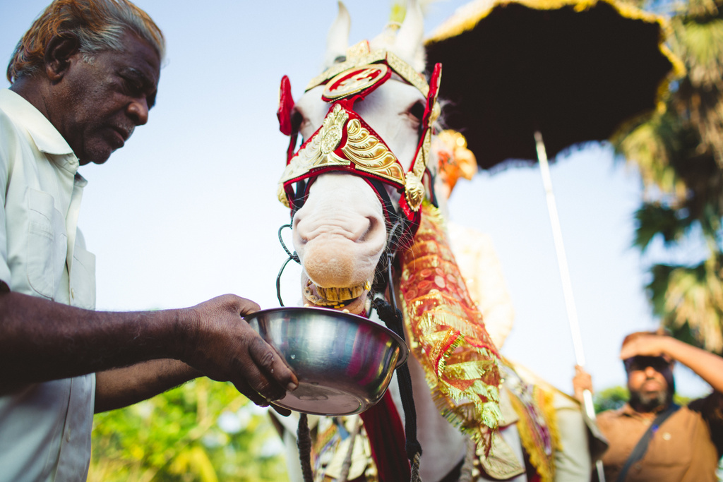 zuriwhitesands-goa-destination-wedding-photography-intocandid-29.jpg