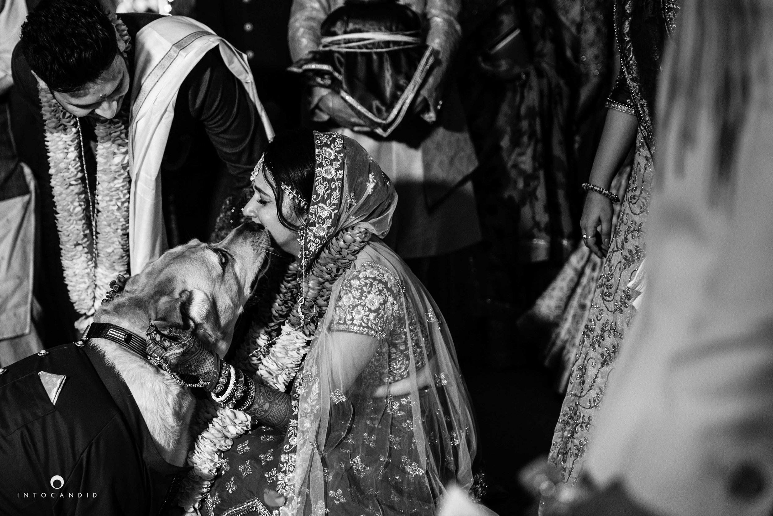 Goa_Wedding_Photographer_Zuri_whitesands_104.jpg