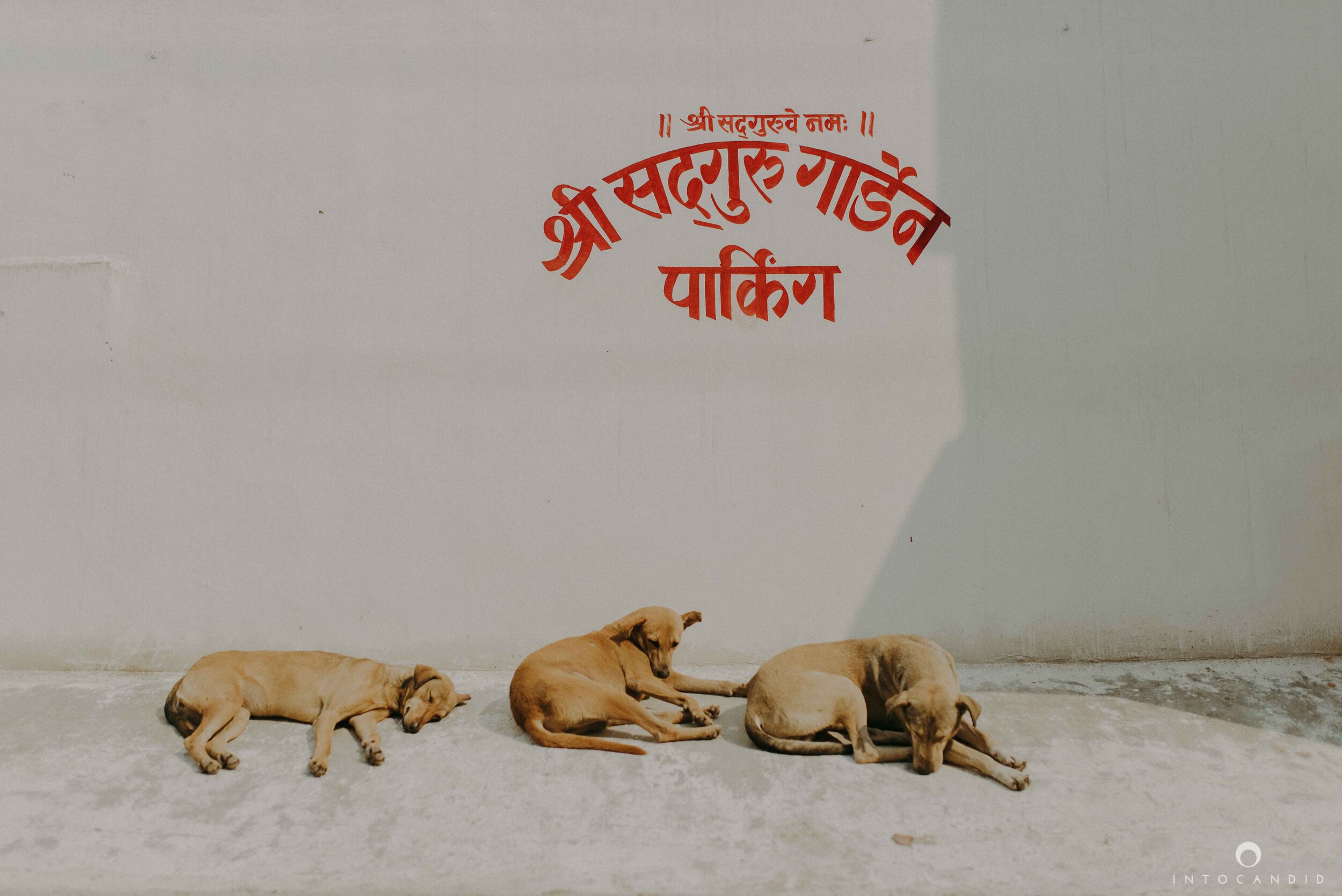 Varanasi_India_Engagementsession_Into_candid_photography_26.JPG