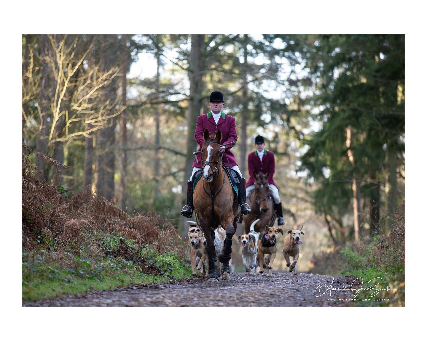 A really lovely day out with the @staffcollegedraghunt at Tweseldown. Here are a few of my images.  More can be seen via the link in my bio. (Under client galleries in the menu).

#horses #hunting #draghunting #cleanboothunting #hounds #equestrian #c