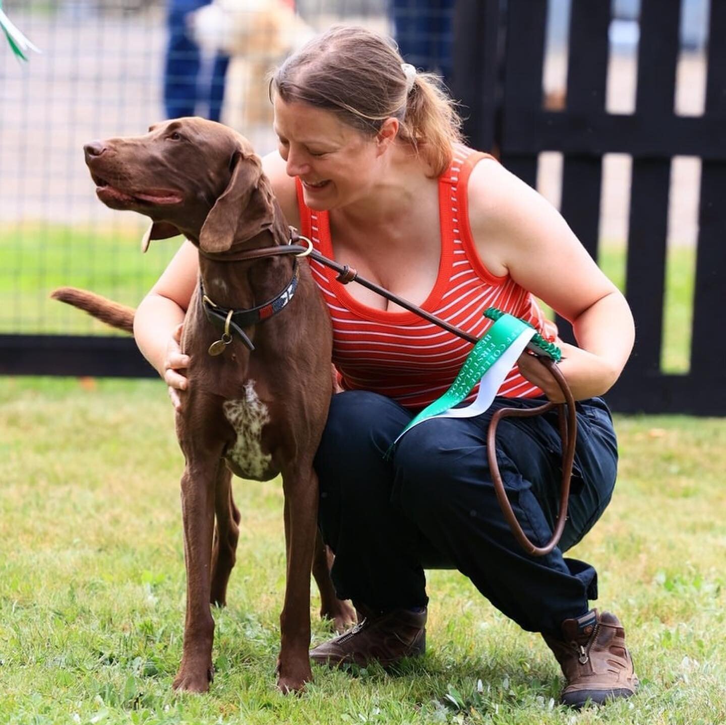 Great day at the @staffcollegedraghunt hound/puppy show and fun dog show.  Inca (@90djg @team_gregory) won best Gundog. ❤️ 

#dogshow #gundog #pointeraner 
First photo @ellie.osborne.photography