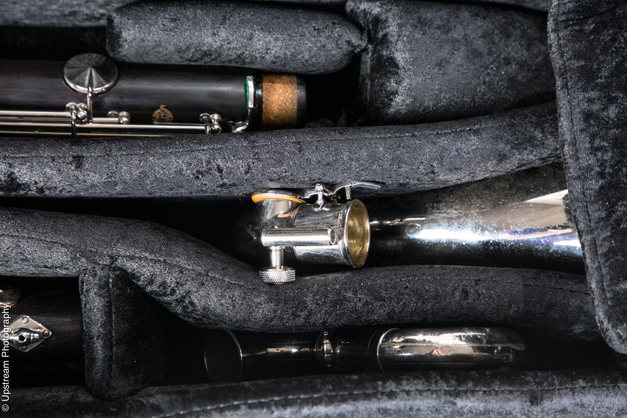 case for saleEconomy Bass Cases Low C