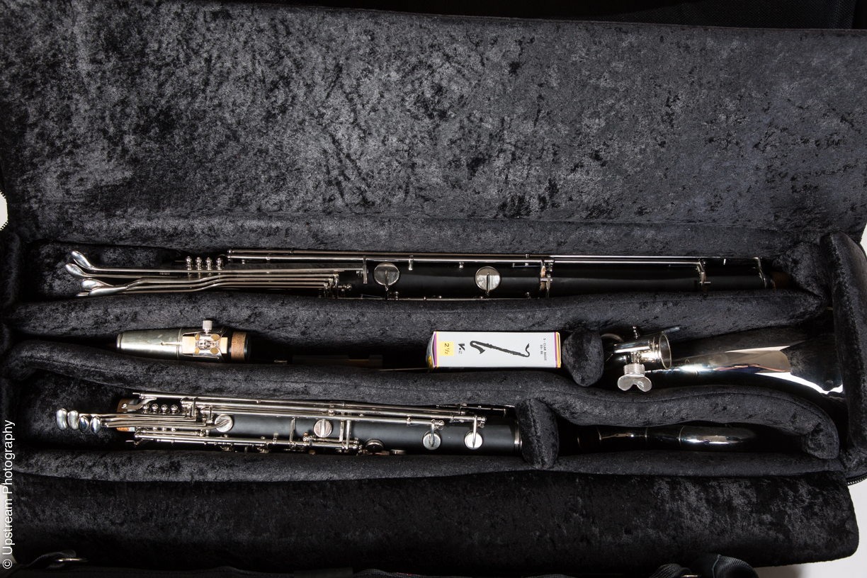 case for saleEconomy Bass Cases Low C