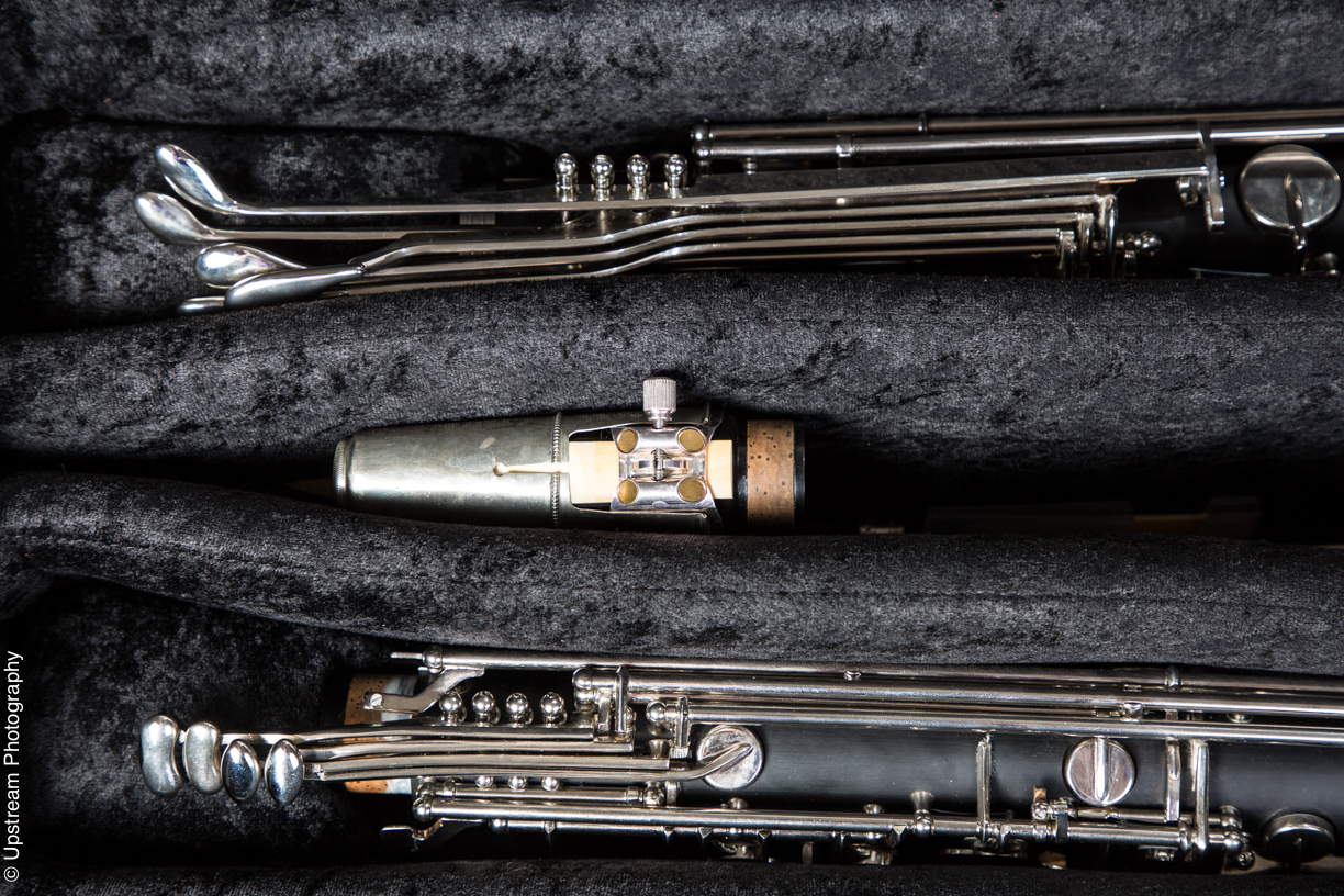 case for saleEconomy Bass Cases Low C