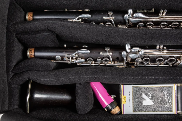 Reed and Squeak cases-Reed and Squeak cases and musical instruments