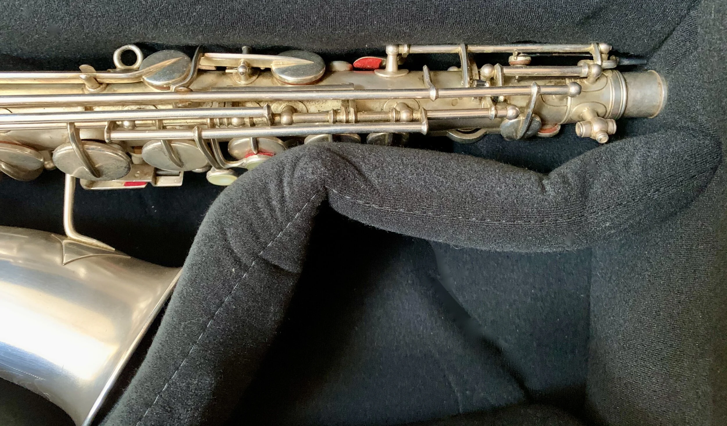 case for sale"C Melody" Saxophone case