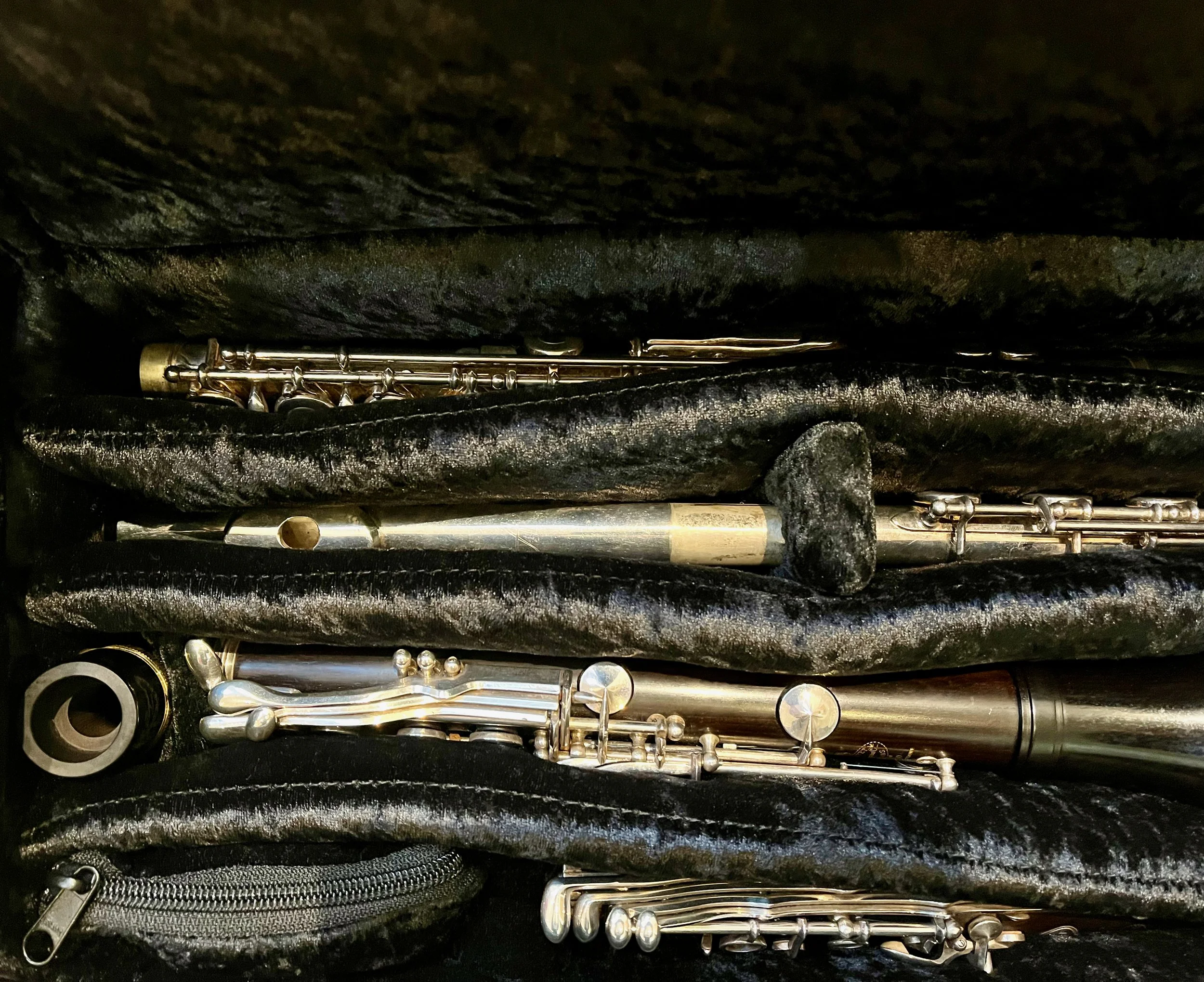 case for saleDouble Case for and Flute (or Eb + Bb