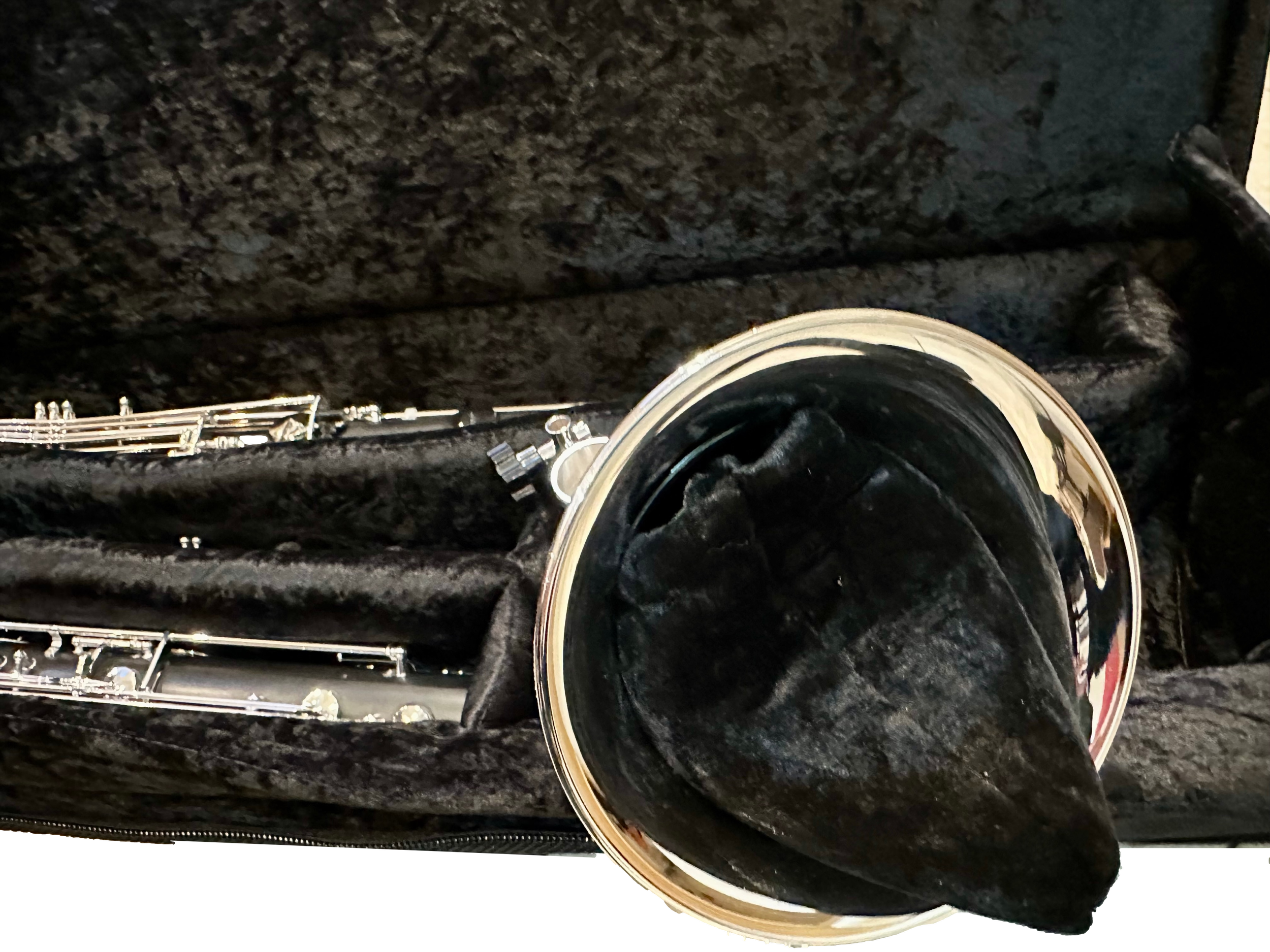 IMG_4596_clipped_rev_1.png