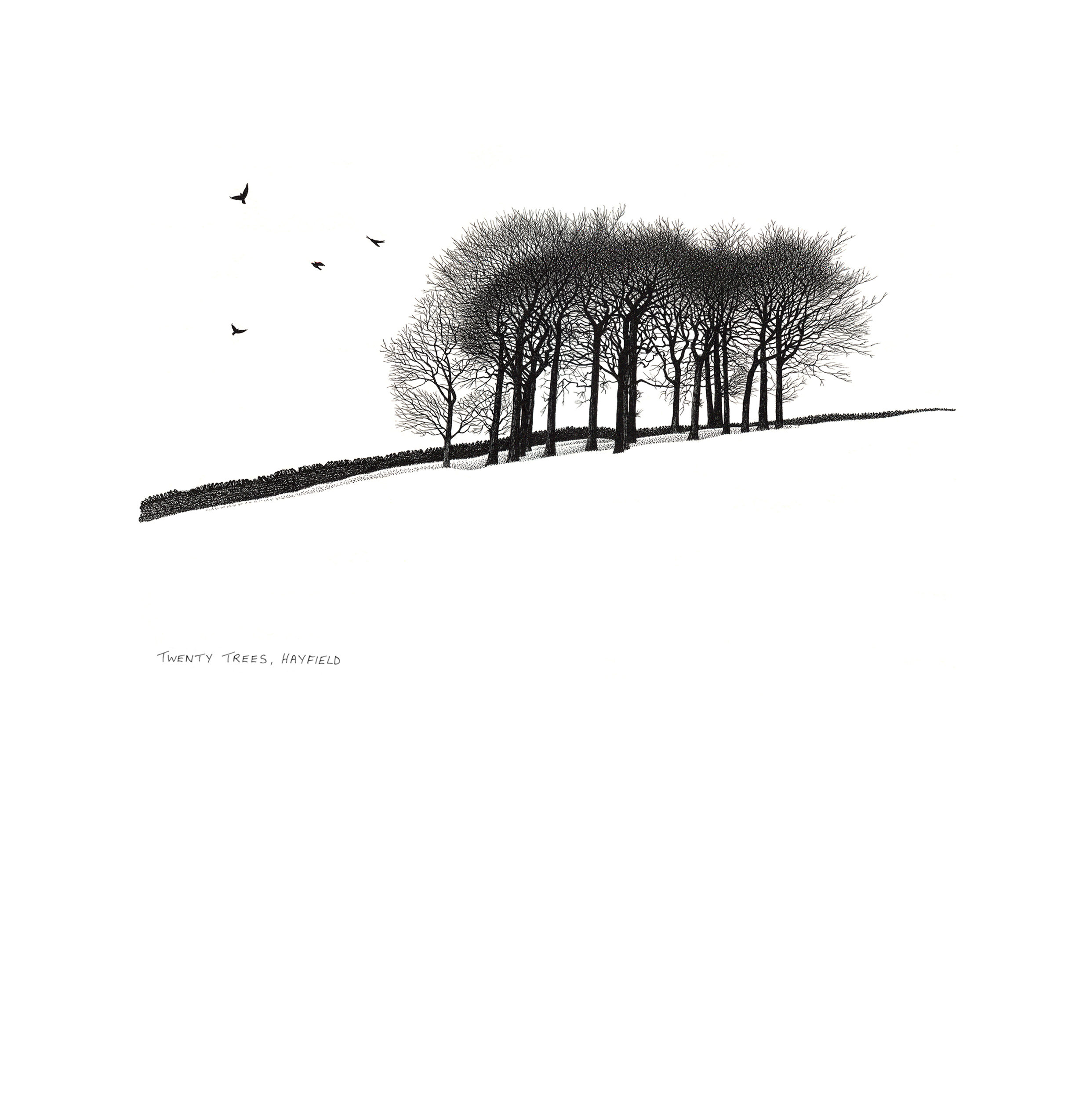 Twenty Trees, Hayfield, Derbyshire