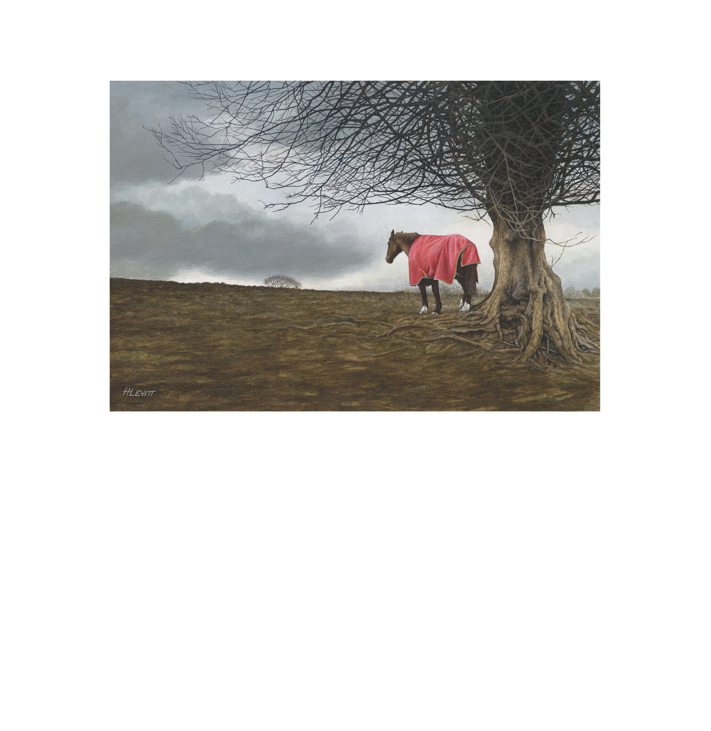 sheltering_space_shop.png