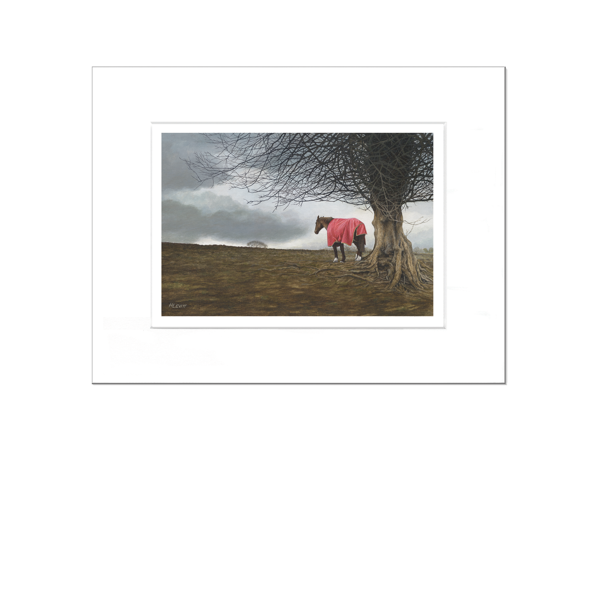 Sheltering_space.png