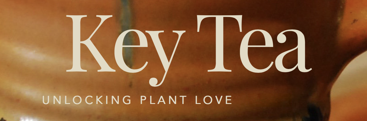 Monthly Brunch and Music with Nell & Jim Band