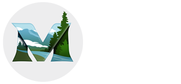 Mill Valley Fall Arts Festival