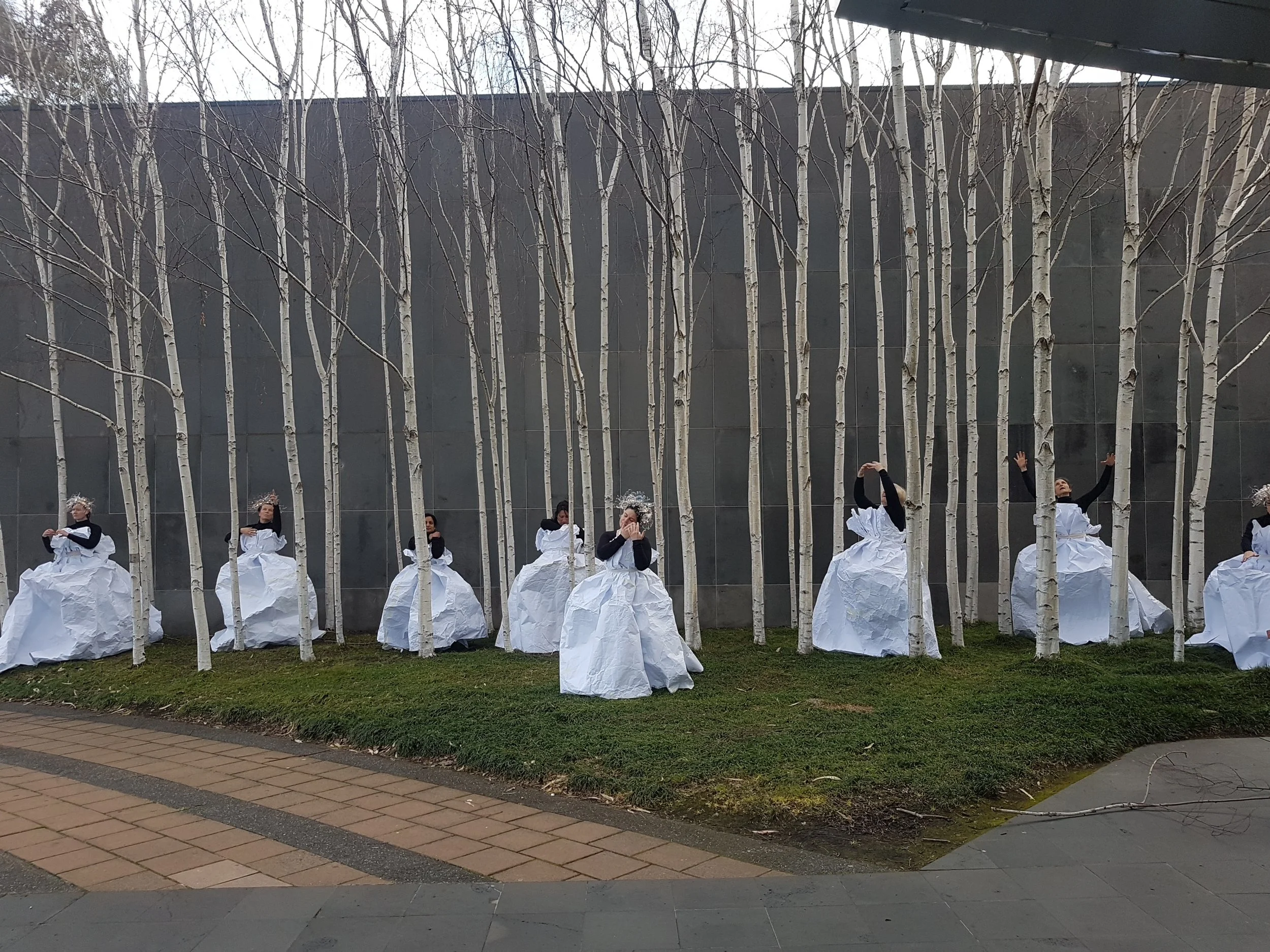 Inthe Birch Grove3.jpg