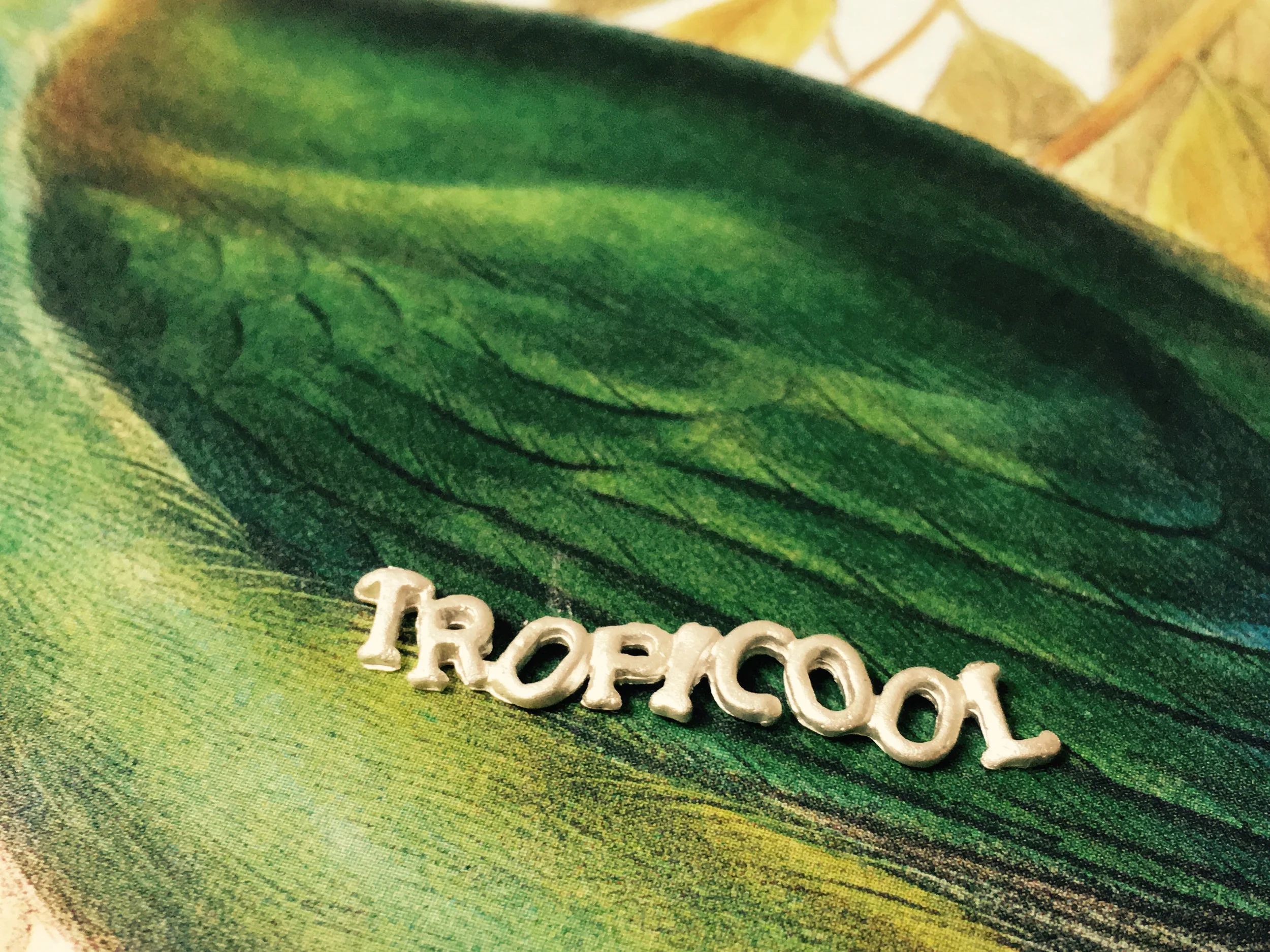 Tropicoolbroche.jpg