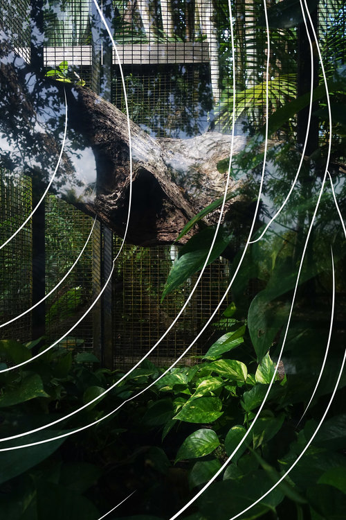 RESTRICTED AREA, 2016 FLORIAN VIEL Photographie encadrée, vinyl adhésif 143 x 93 cm 3500 Euros