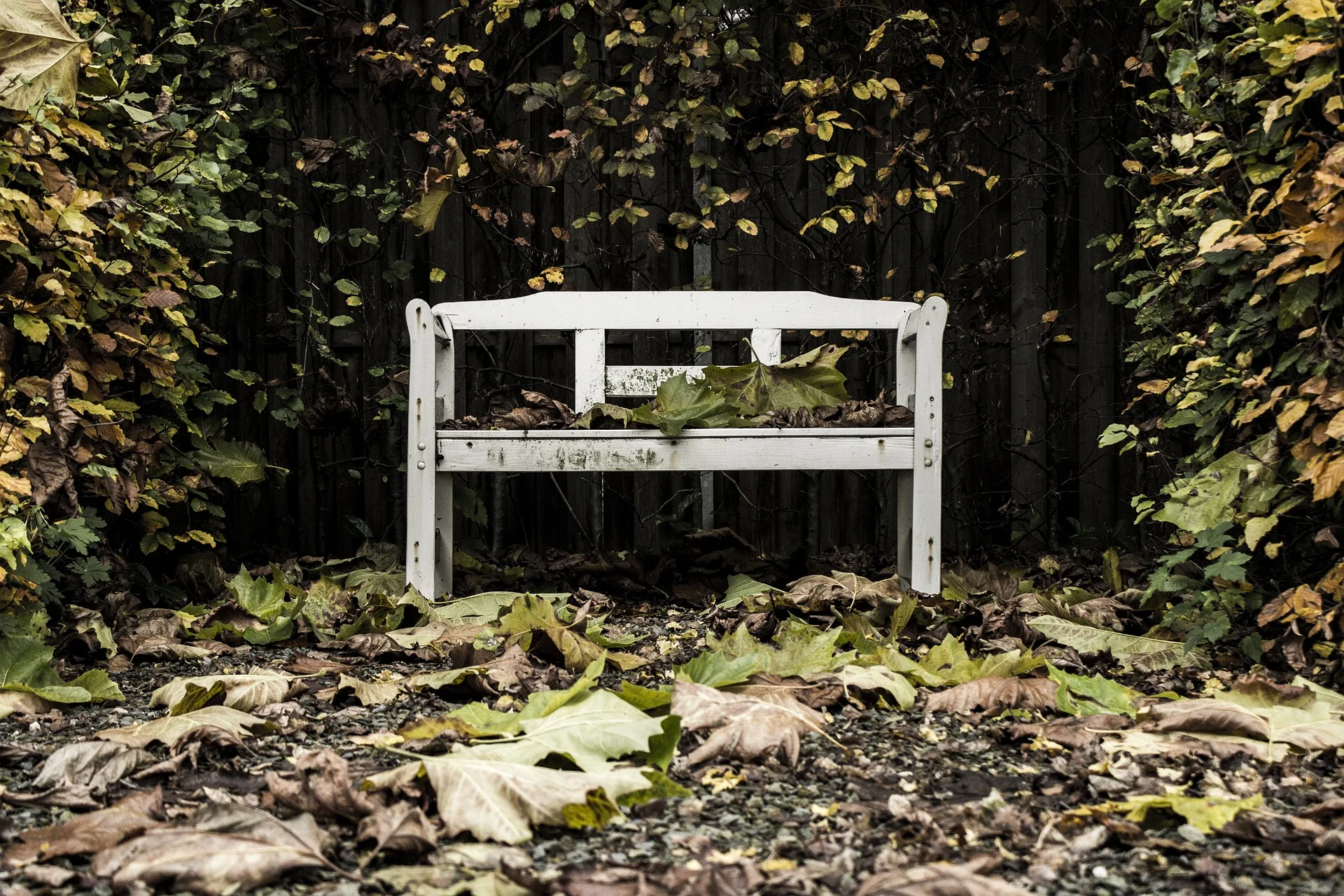 bench-933407_1920.jpg