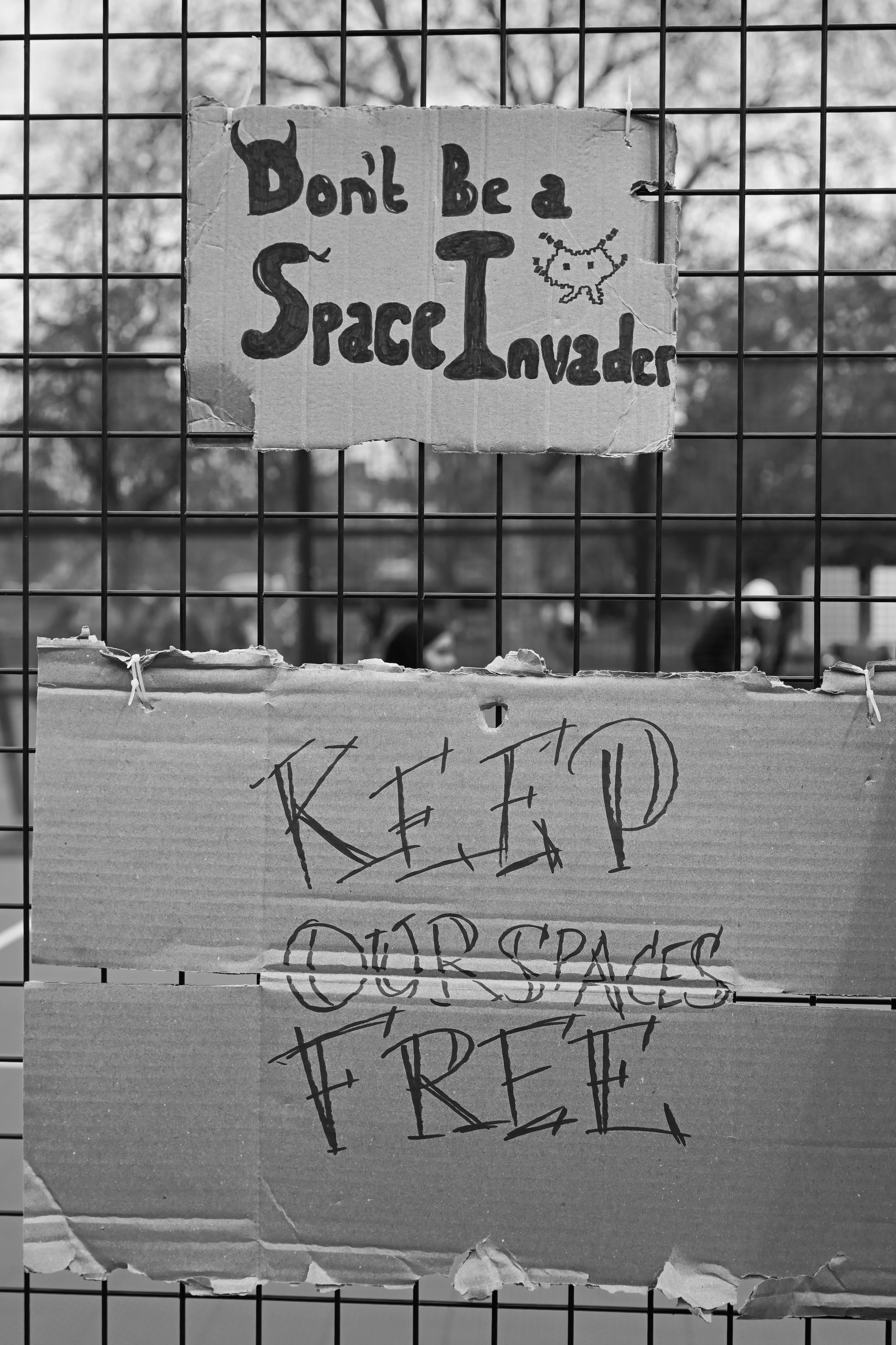 DSC_3744.jpeg