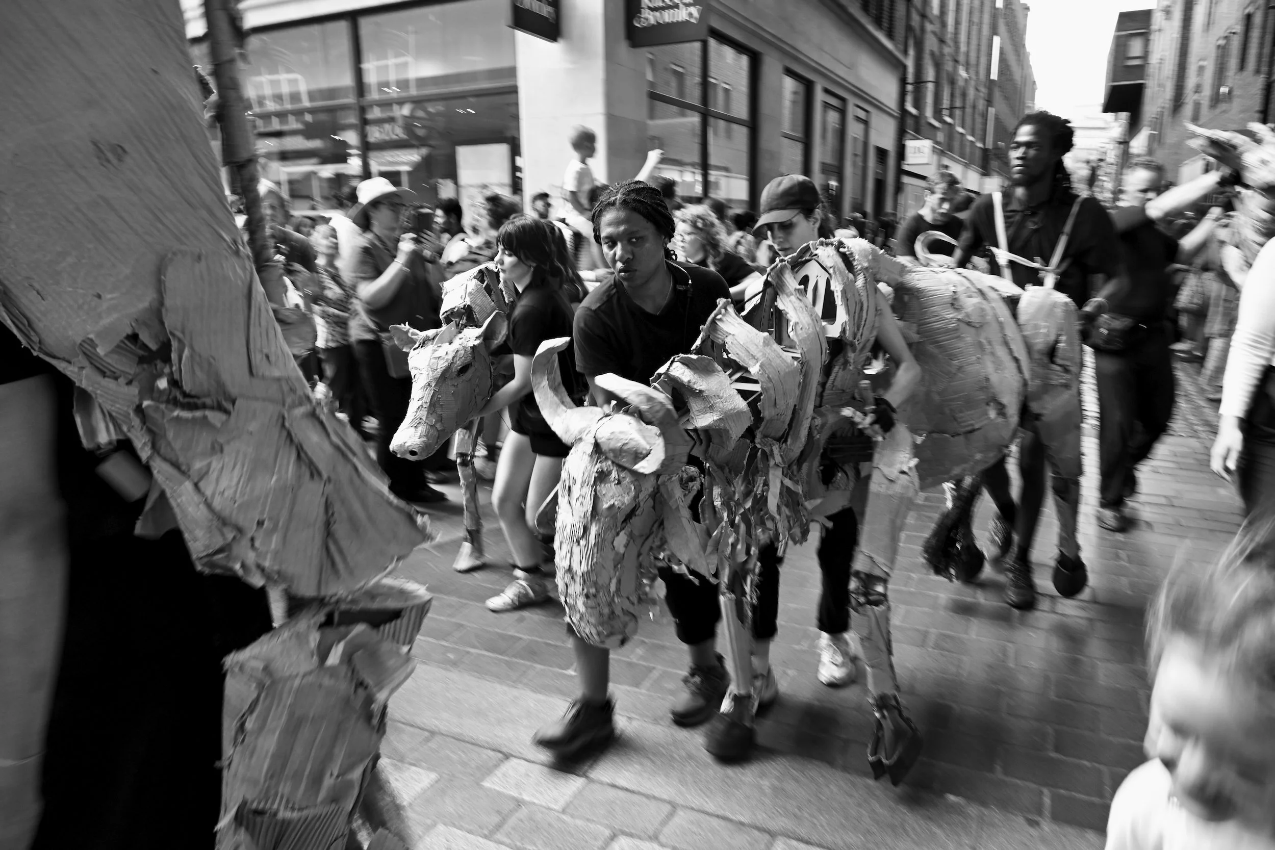 DSC_0091.jpeg