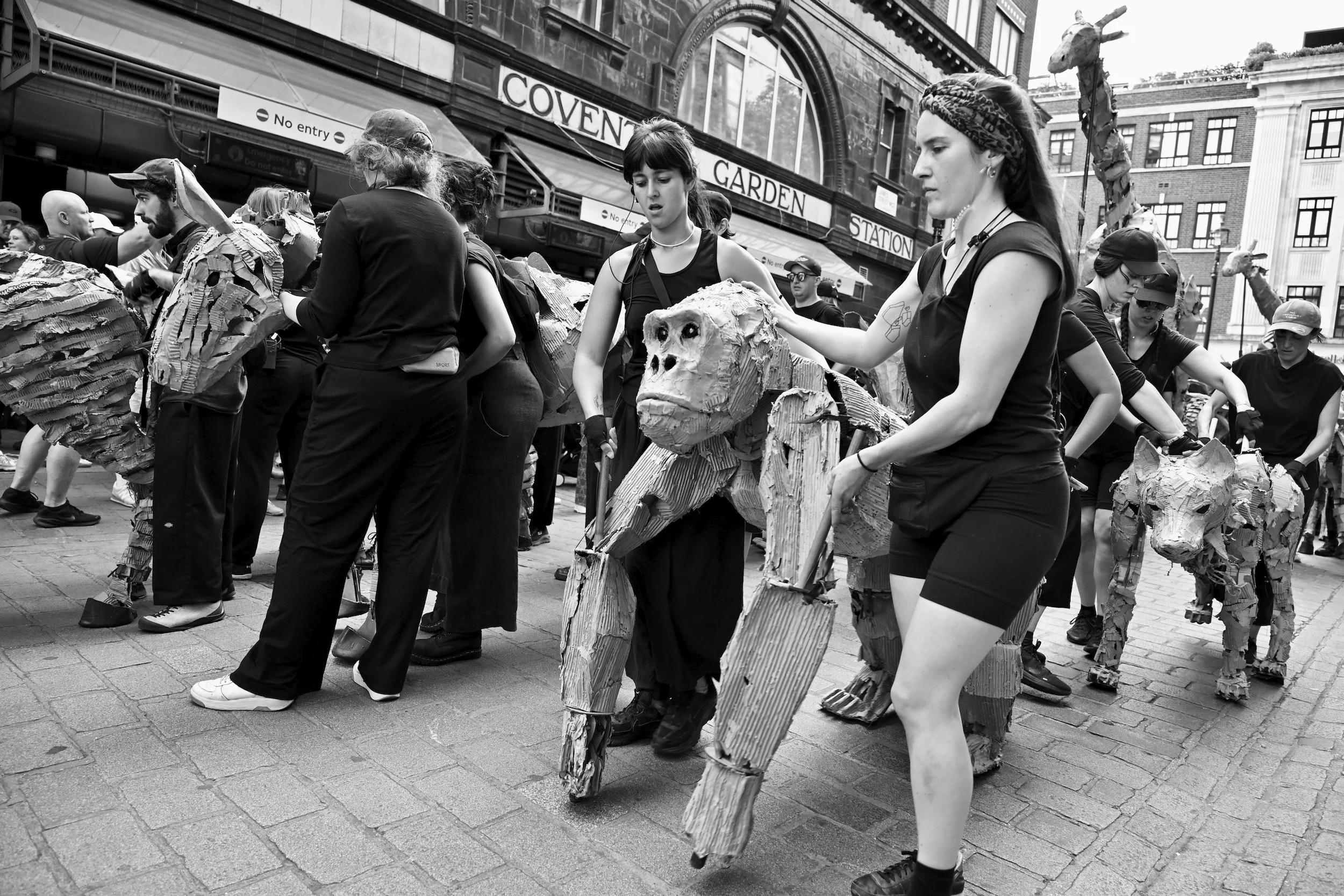 DSC_0099.jpeg
