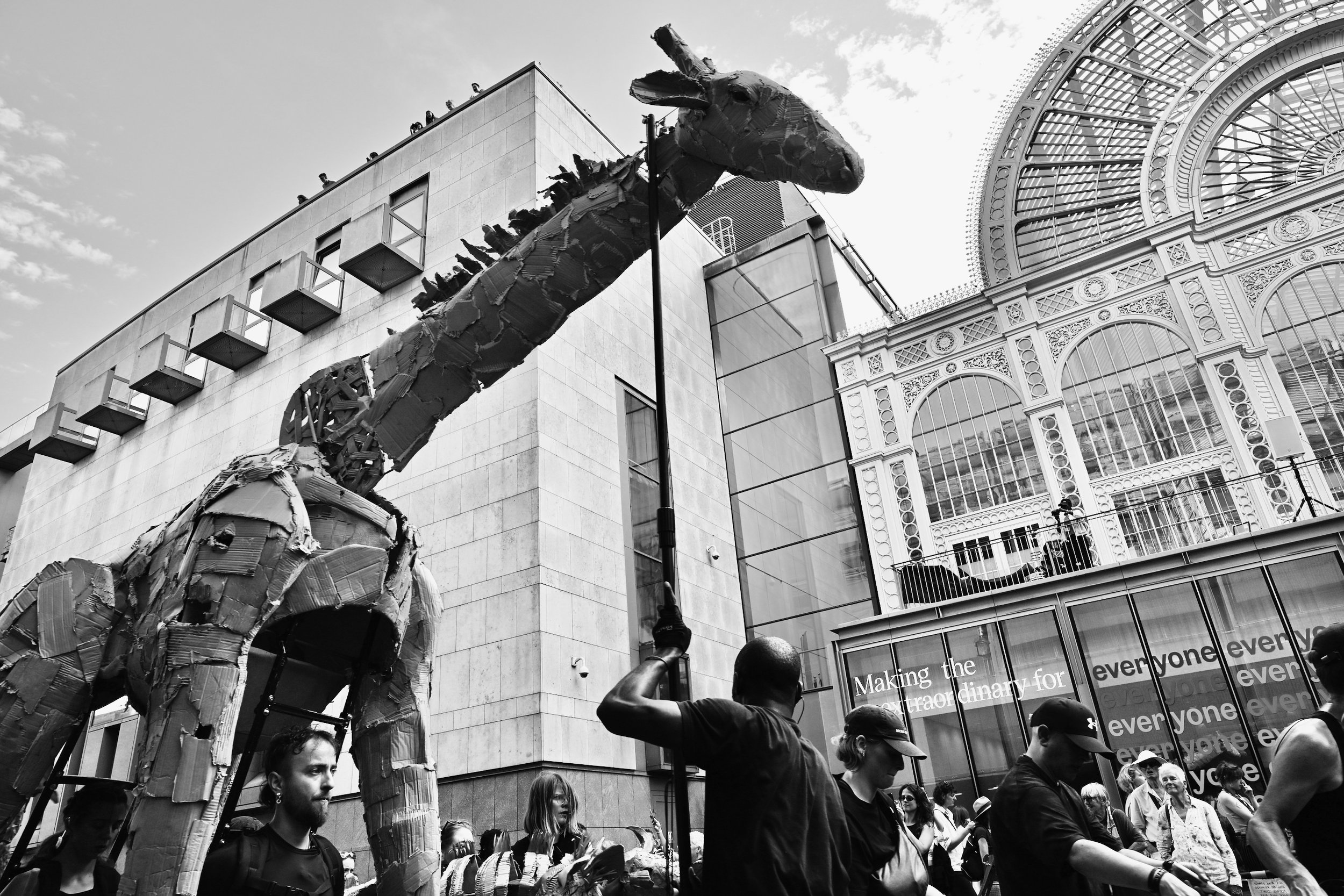 DSC_0128.jpeg