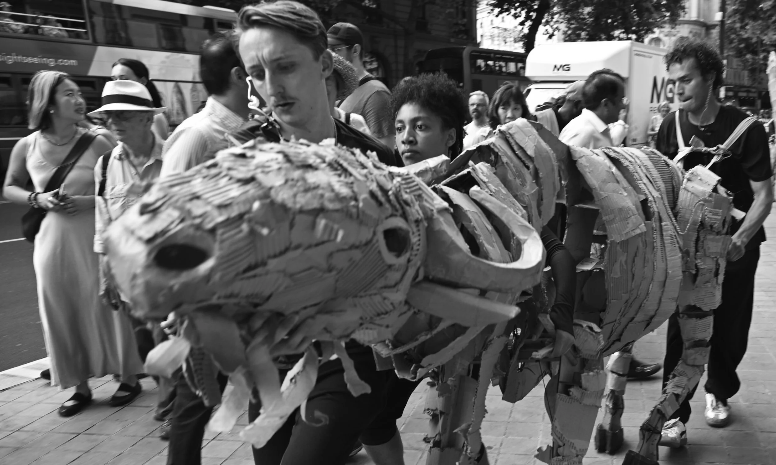 DSC_0181.jpeg
