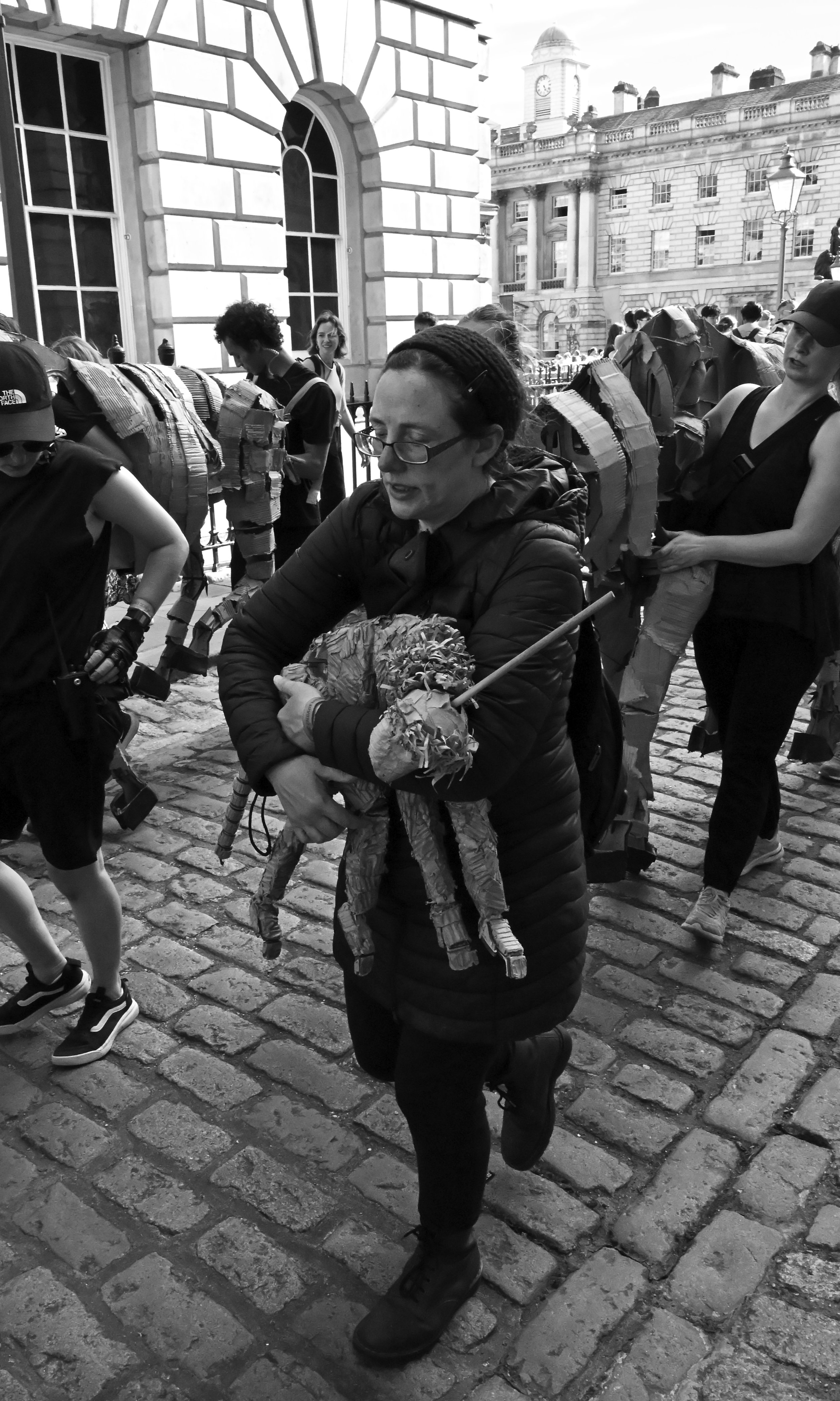DSC_0242.jpeg