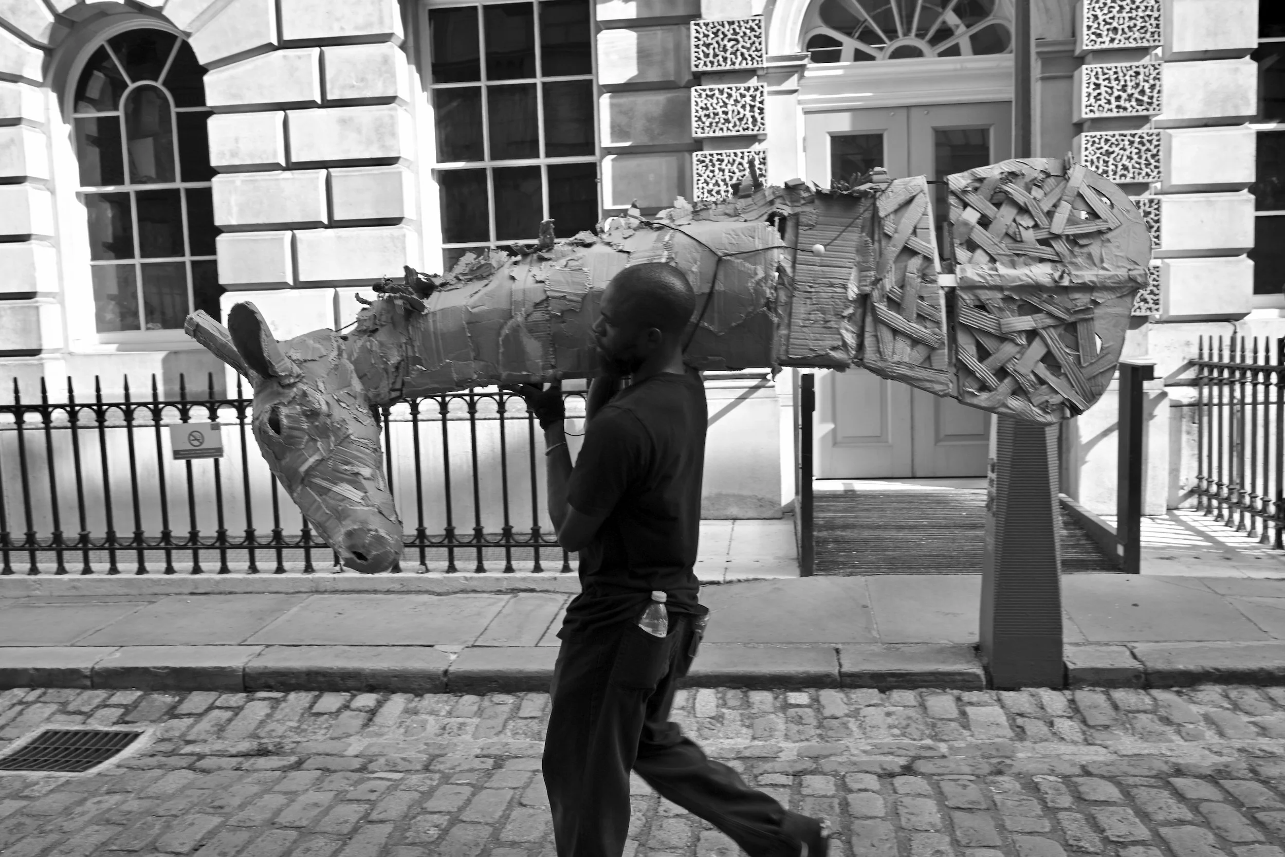 DSC_0259.jpeg