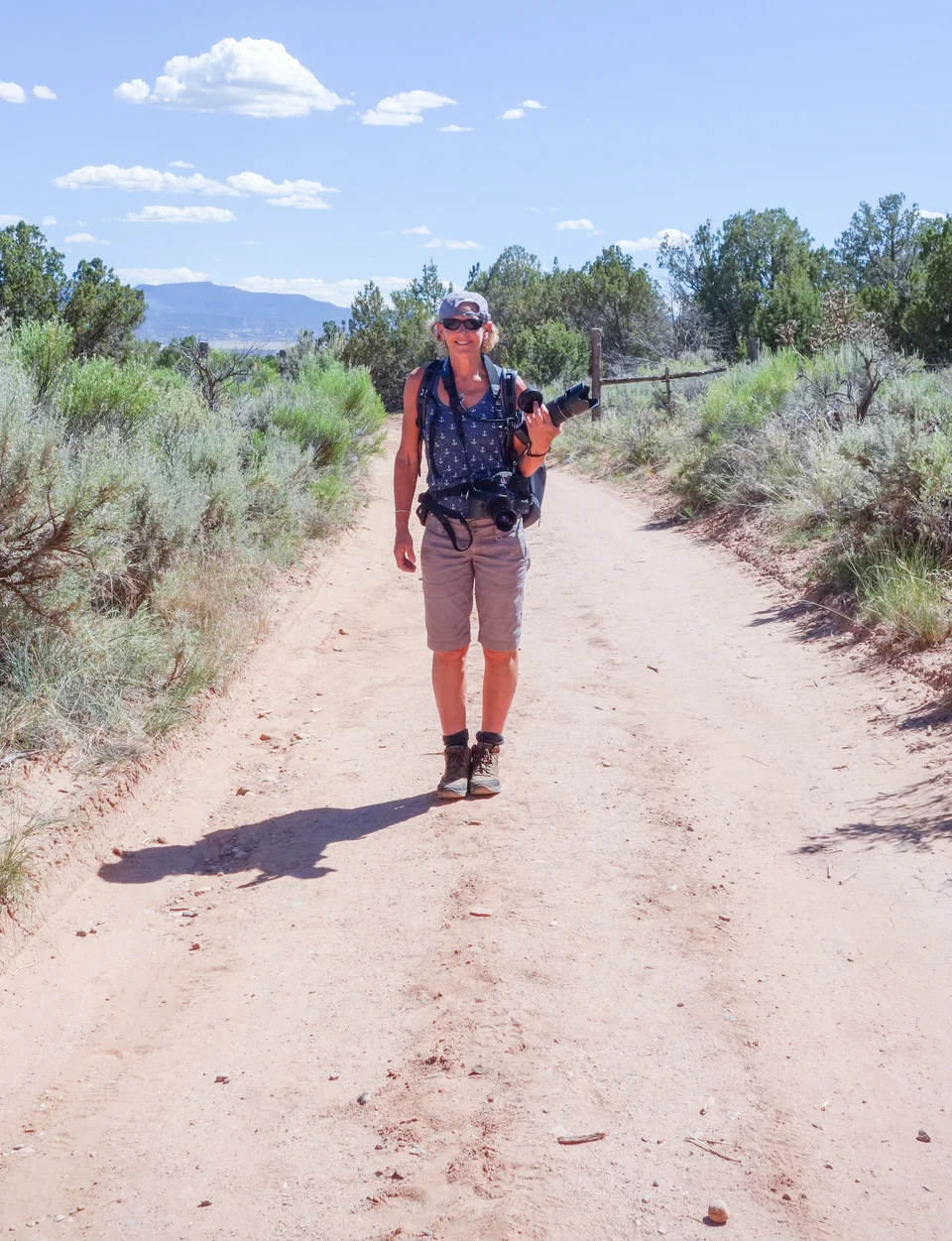 Laura L. Gingerich, Photographer