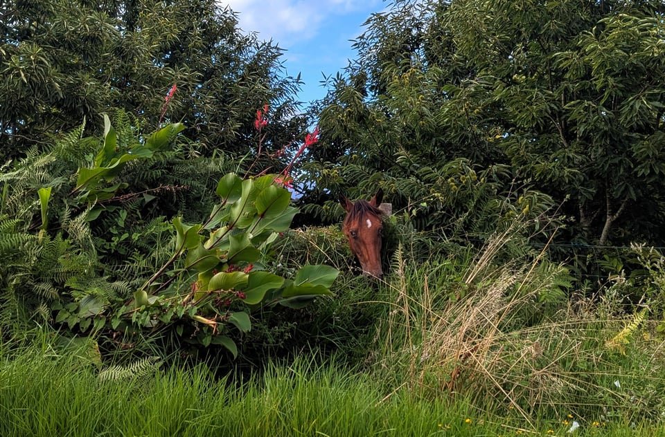 Mis 25 cosas favoritas de 2025