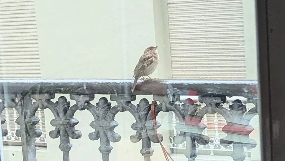 Mi propósito para 2026