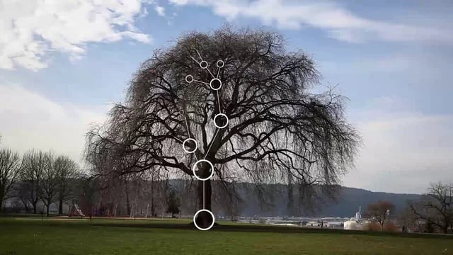 ARC: An Evening of Animated Infographics