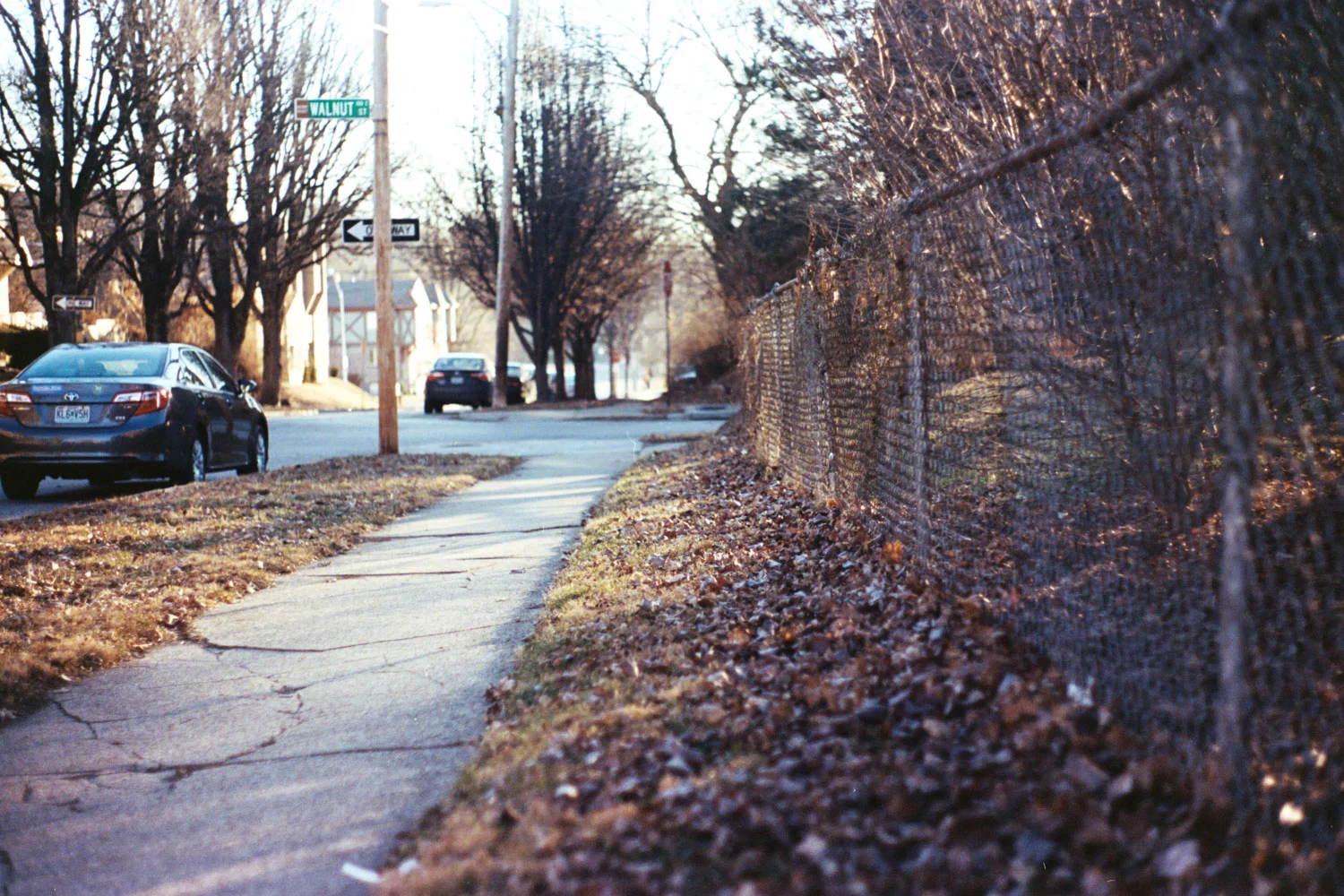 Roll_28_kodak_portra_400_170126_05.jpg
