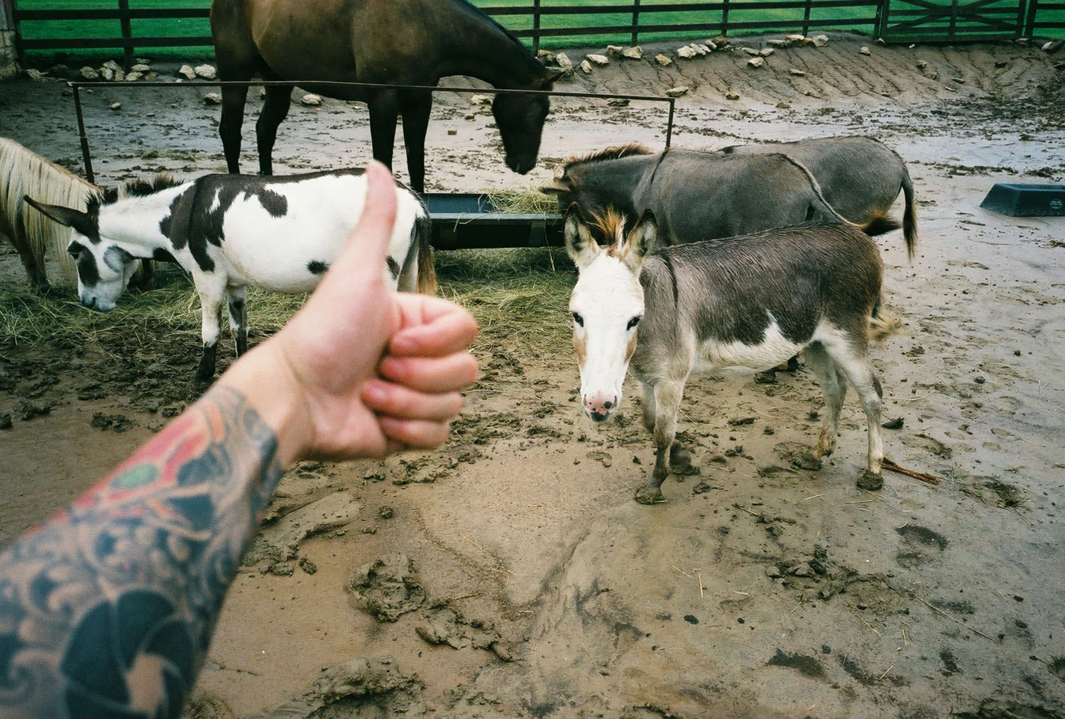 TRAVIS HOANG // 2017
Fujifilm Superia 400
Ricoh GR1