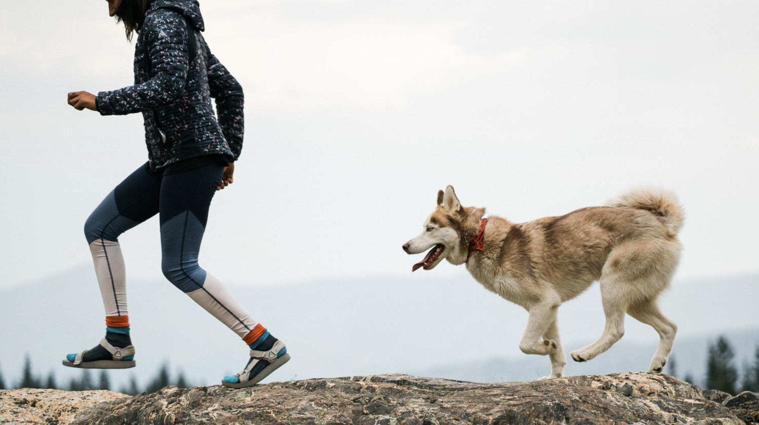 Holy Moly | Natures Healing Powers
