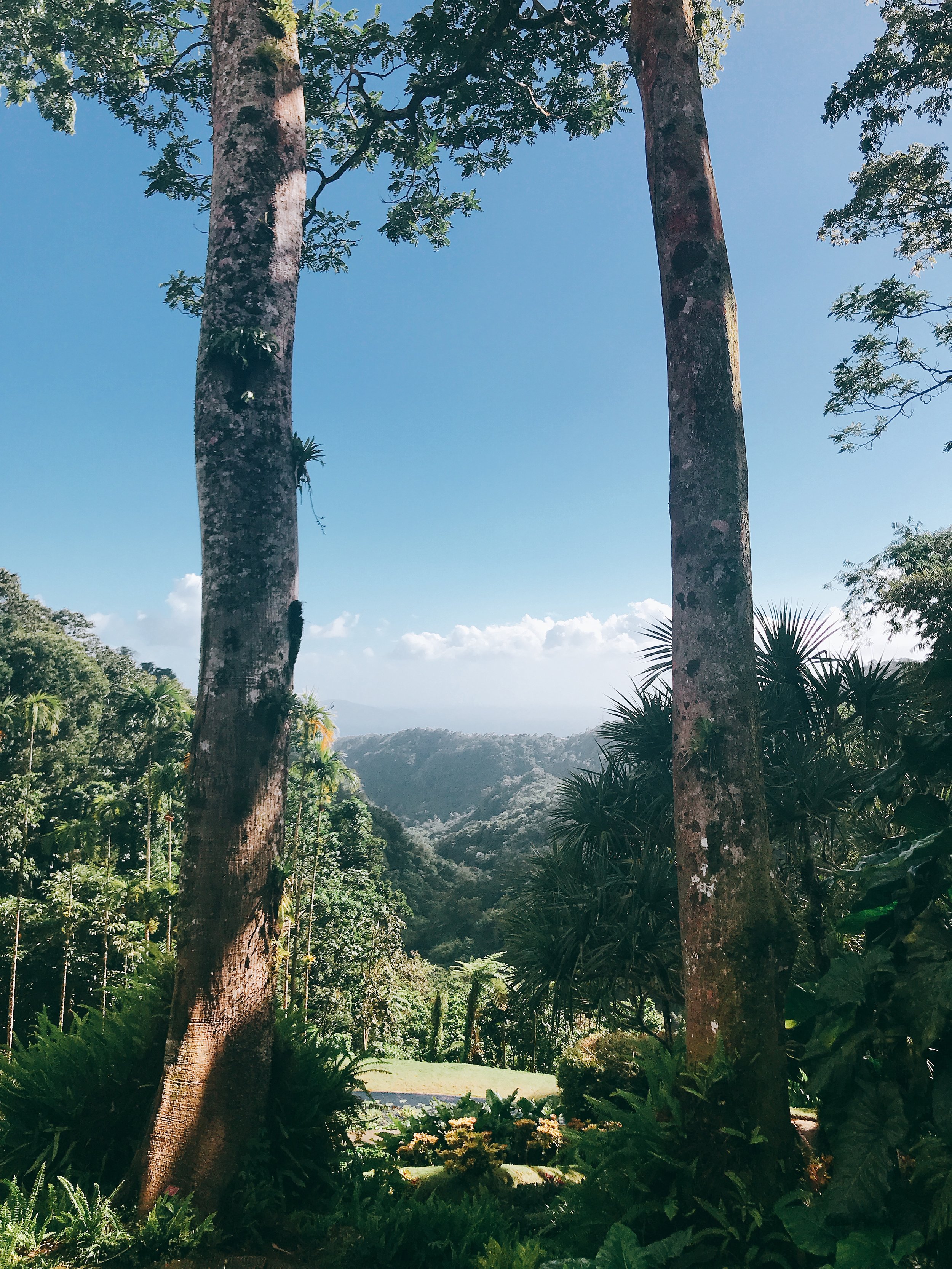 Martinique France