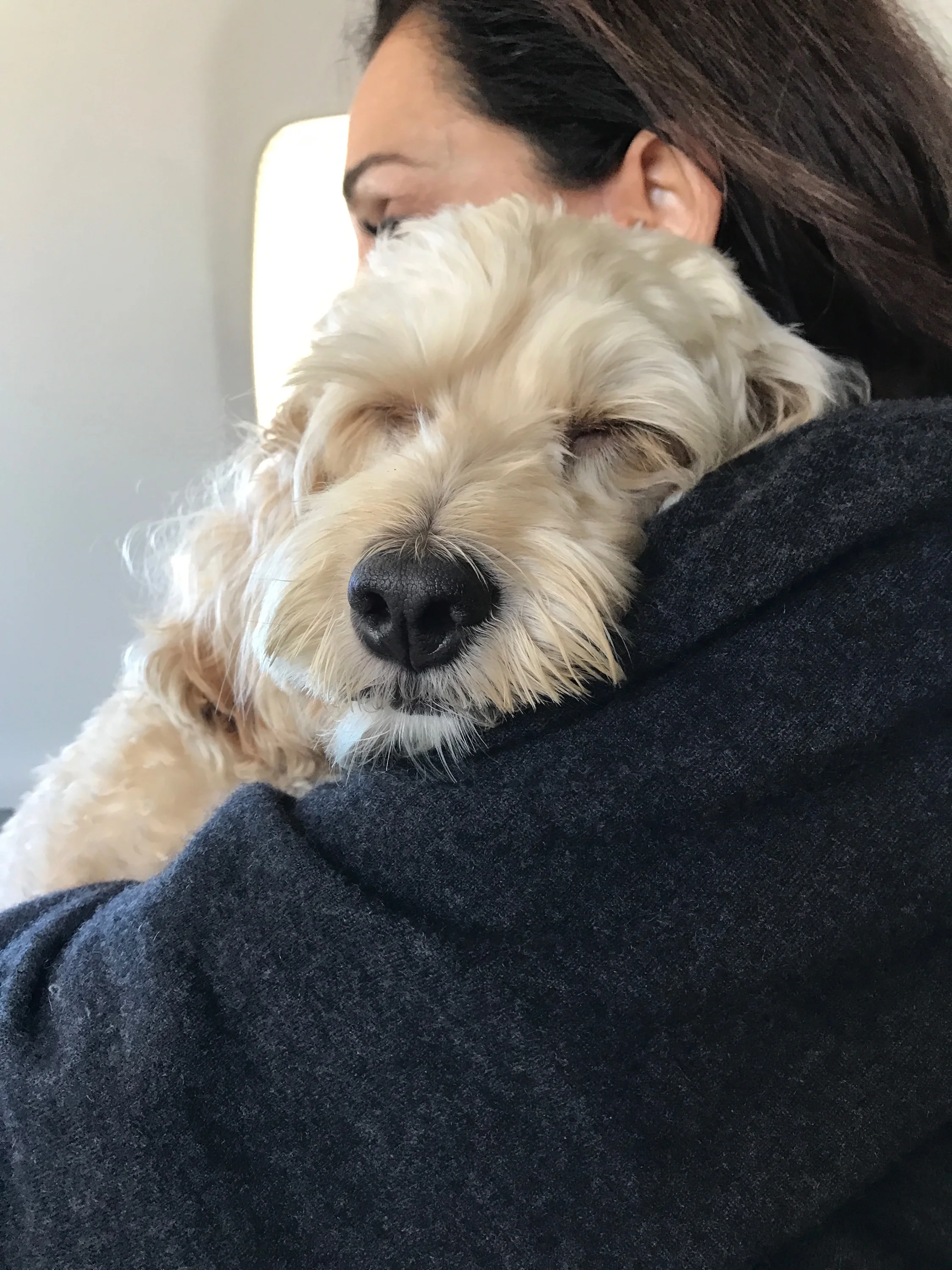 Window seats are the best.