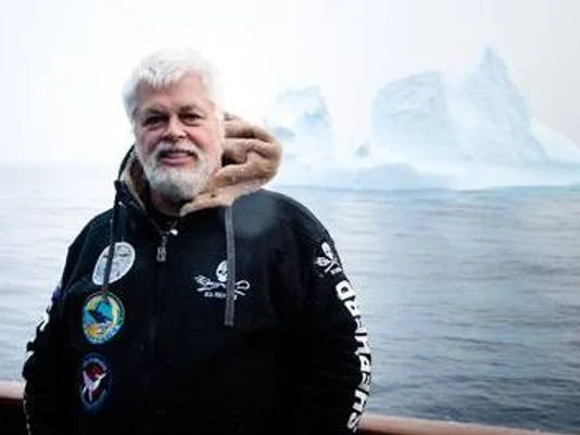 Photo: Tim Watters, Animal Planet