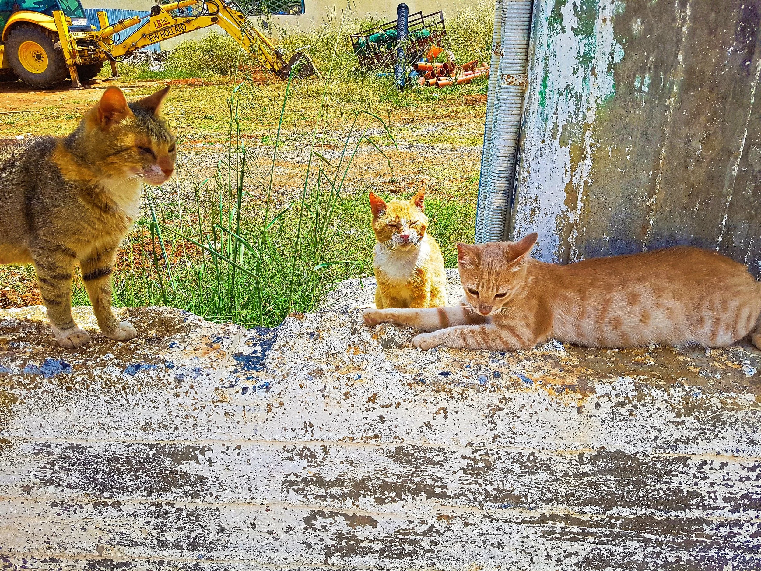 20170518_123931.jpg