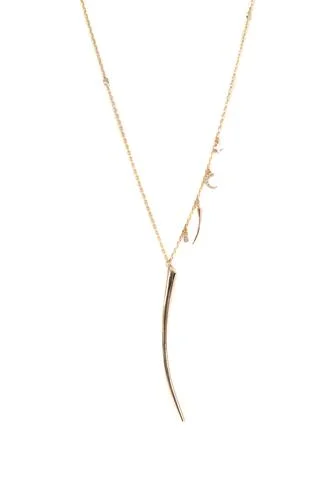 Horn Necklace $45