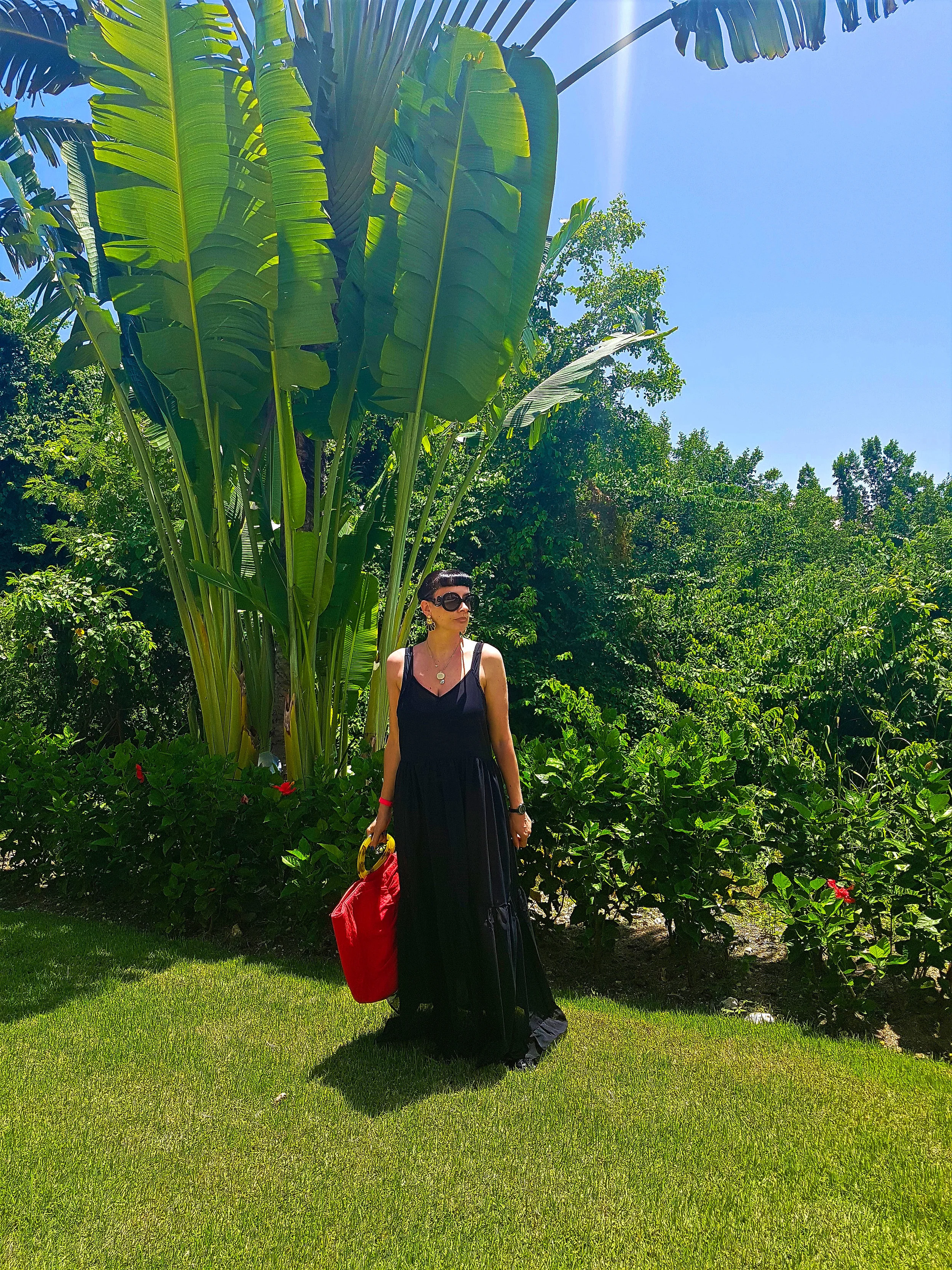 Tropical Garden