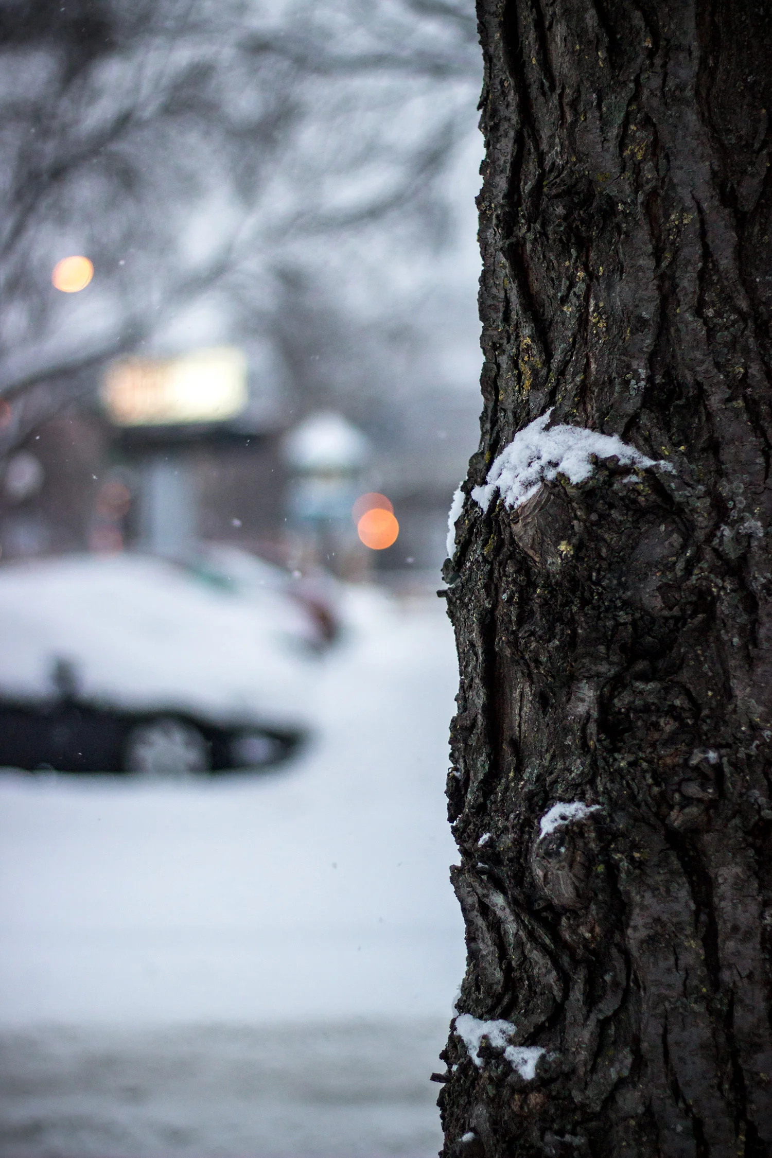 IMG_0973_cc1500px.jpg