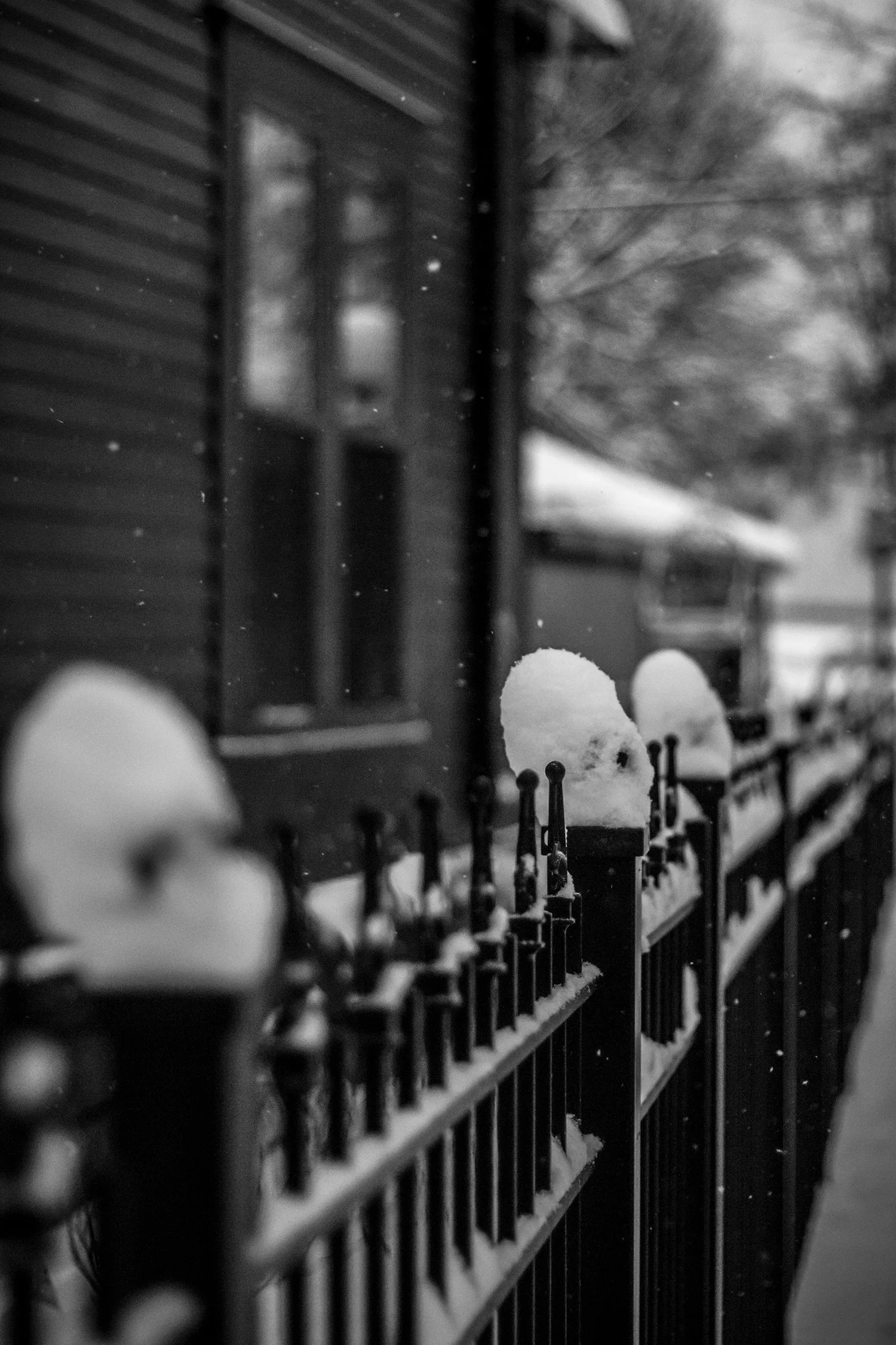 IMG_1008_cc_1500px.jpg