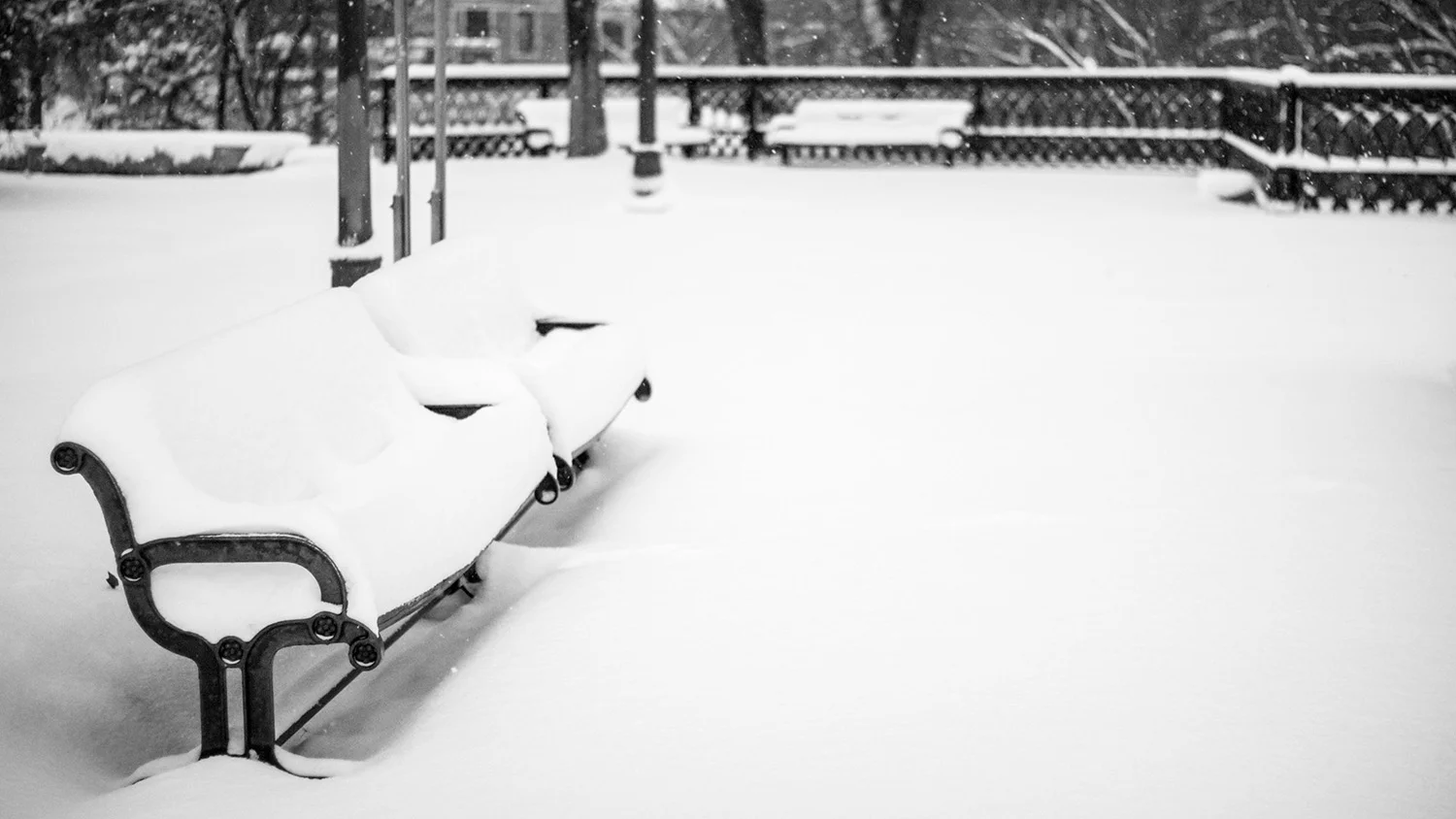 IMG_1036_cc_1500px.jpg