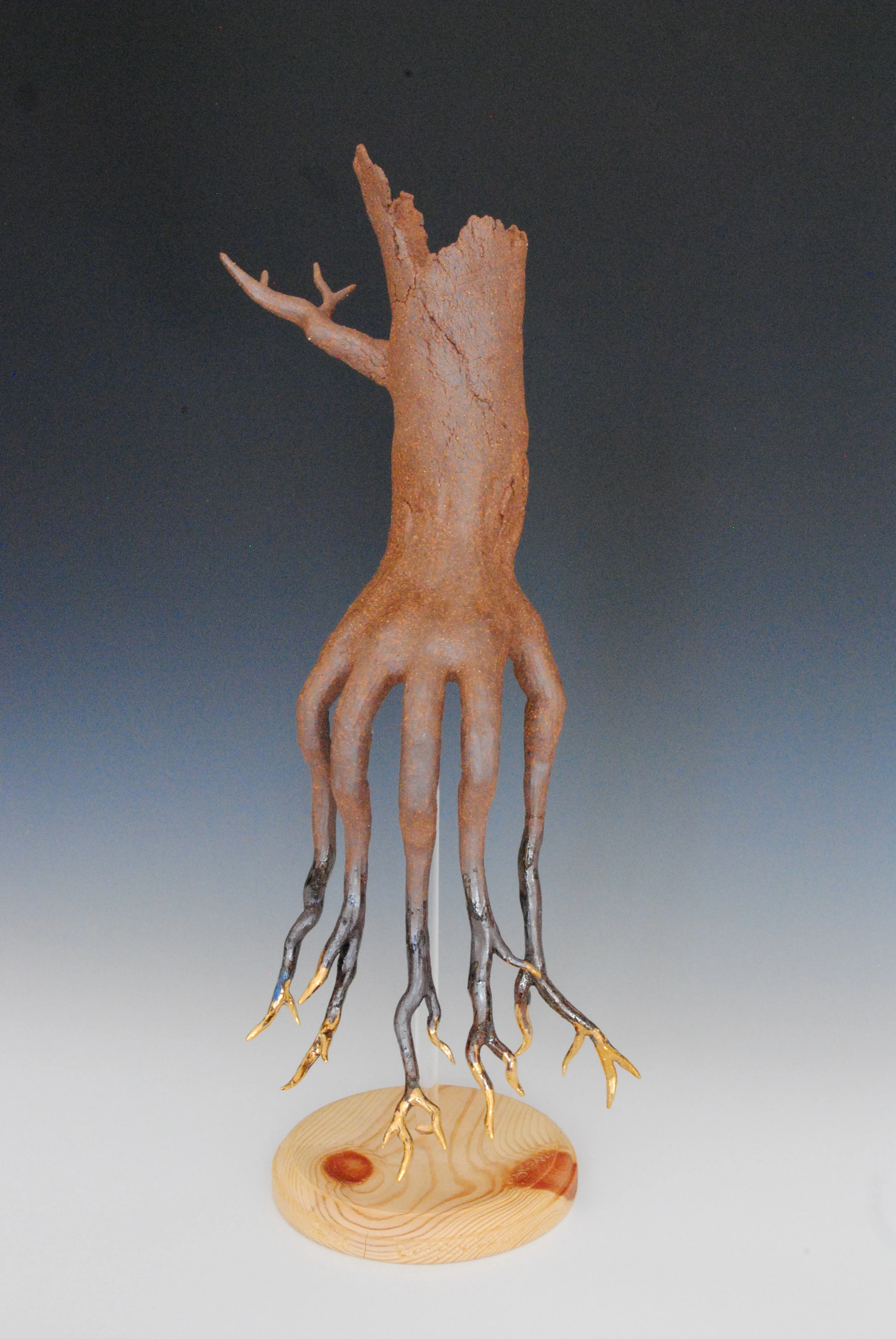 Hands of Disruptivity  (Brown)