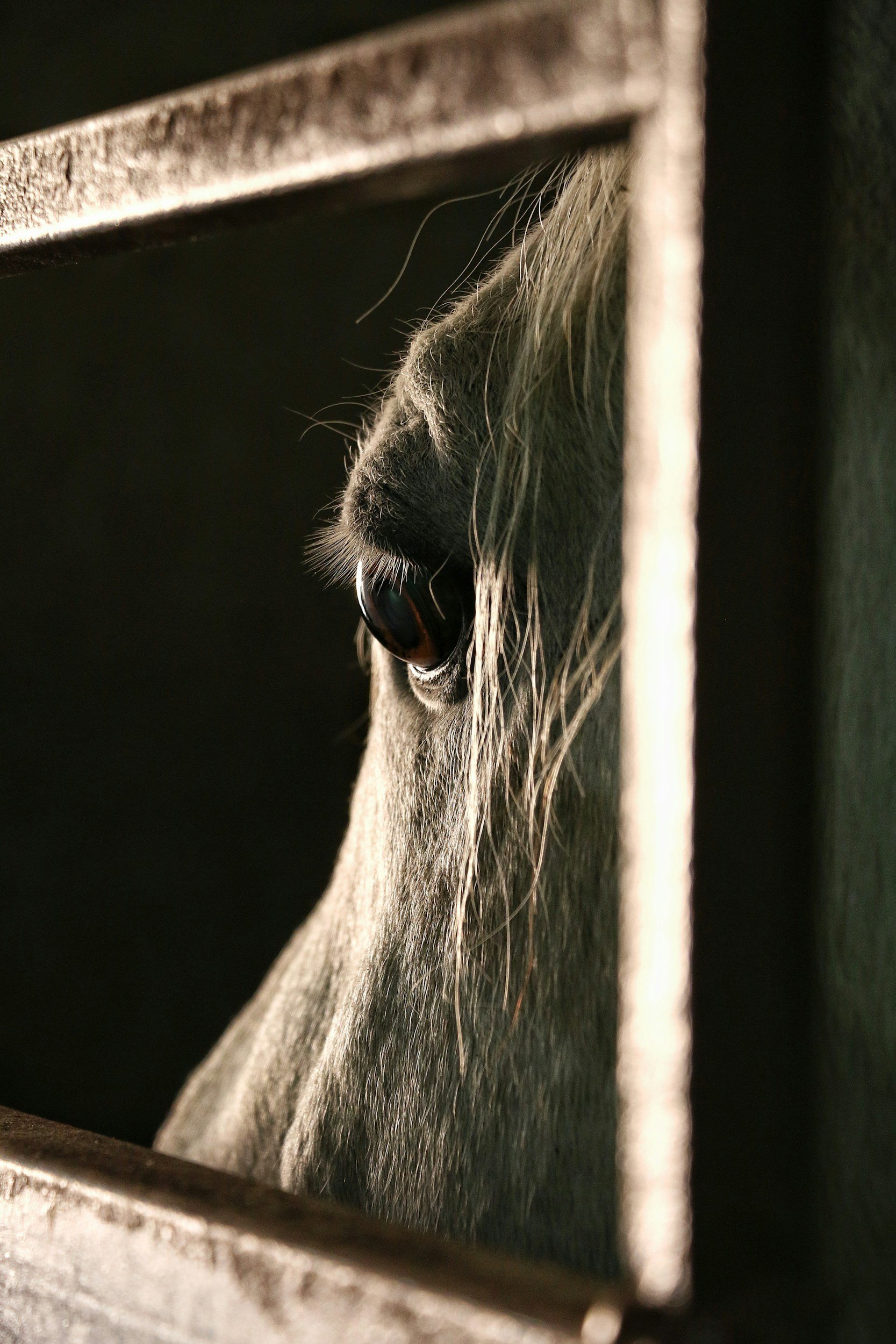 Why You Struggle to Trust Yourself or Life — A Trauma &amp; EMDR Perspective